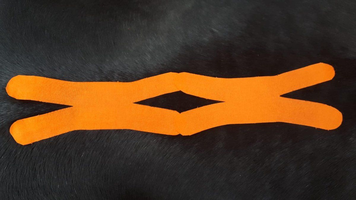 VetkinTape 6cm Orange, Kinesiotape für Pferde u.a. Tiere