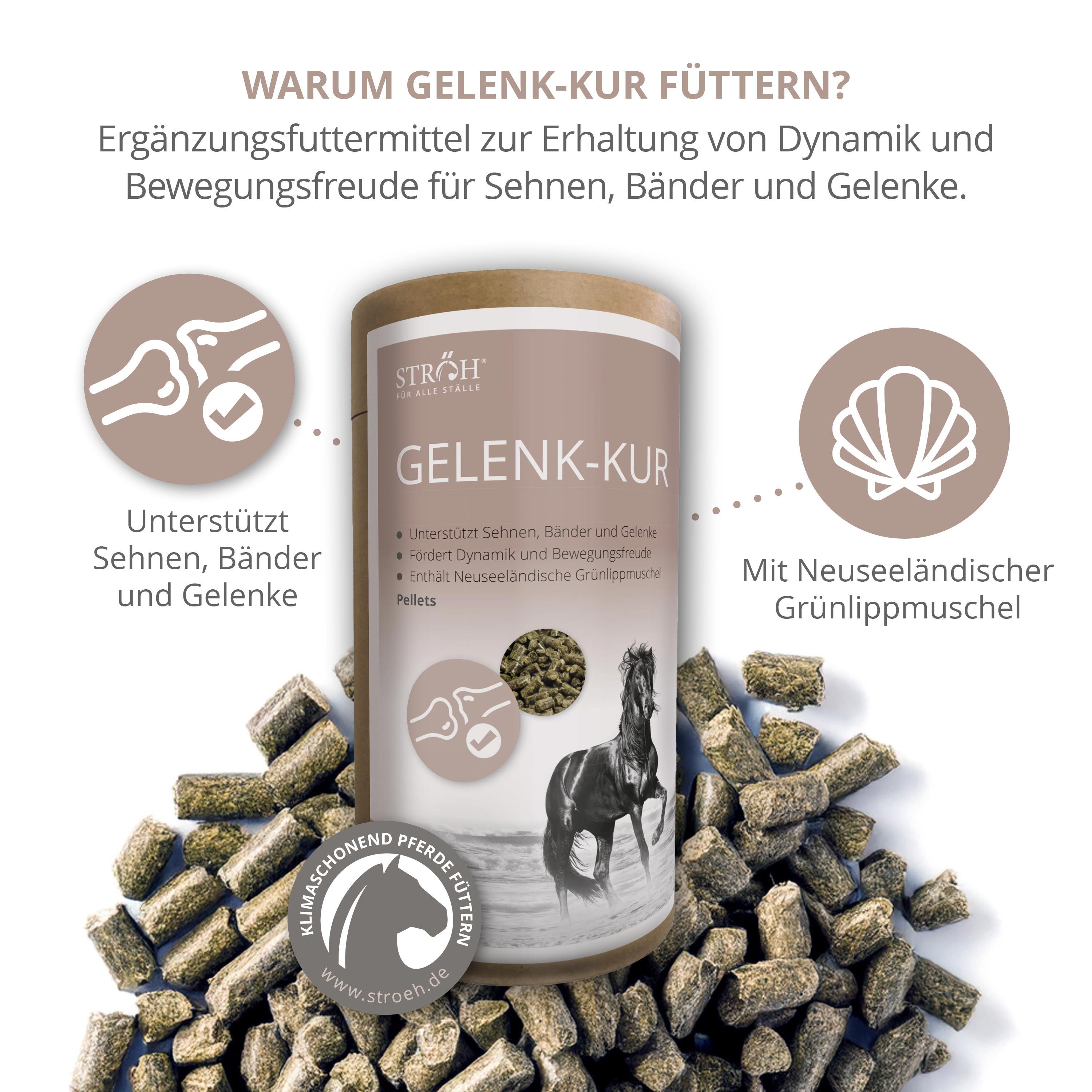 STRÖH Küsten Gelenk-Kur  Feedbox Dose