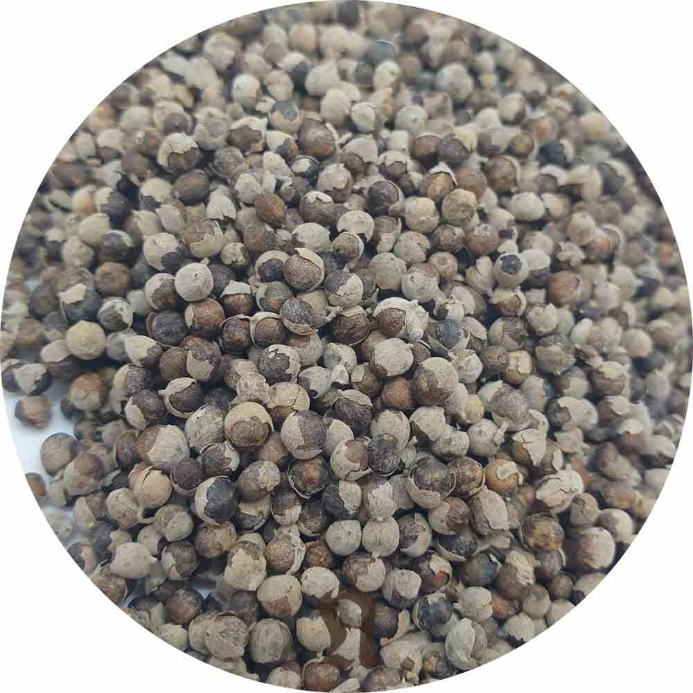 Haufen kleiner, runder, brauner Samen. Sie sind in einem kreisförmigen Bereich angeordnet.