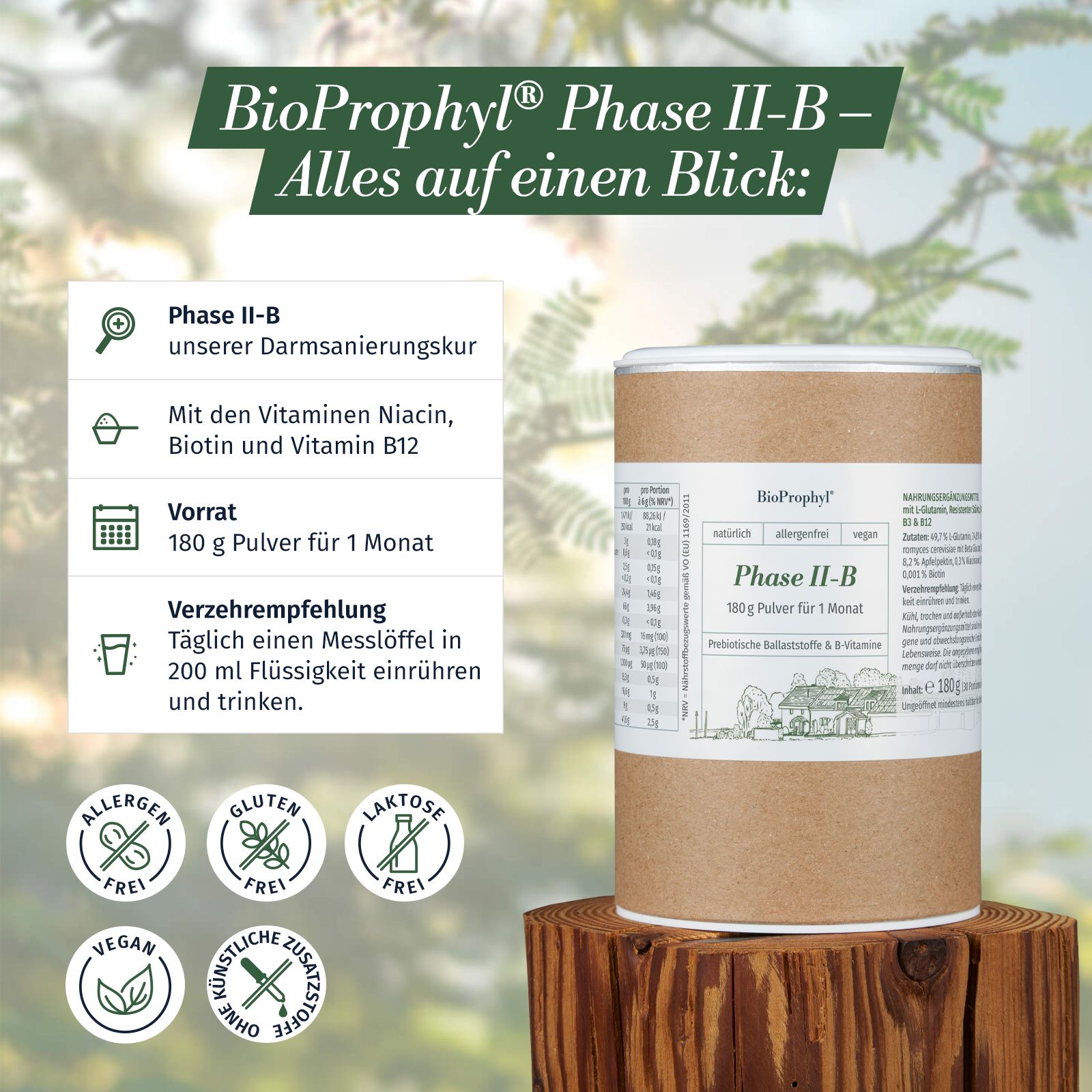 BioProphyl Darmsanierung