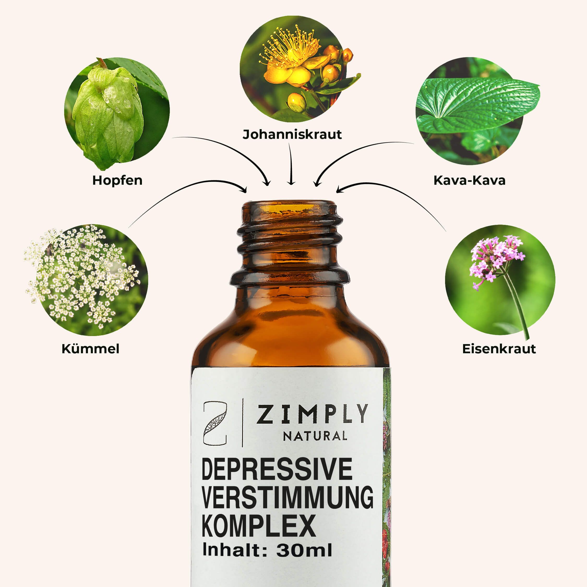 ZIMPLY NATURAL Depressive Verstimmung Komplex Spray