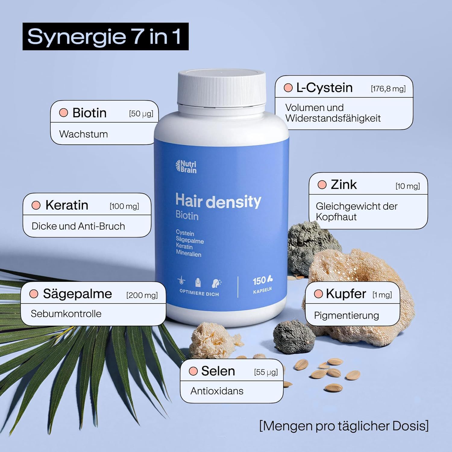 NUTRIBRAIN  Hair Density Haar Vitamine Kapsel