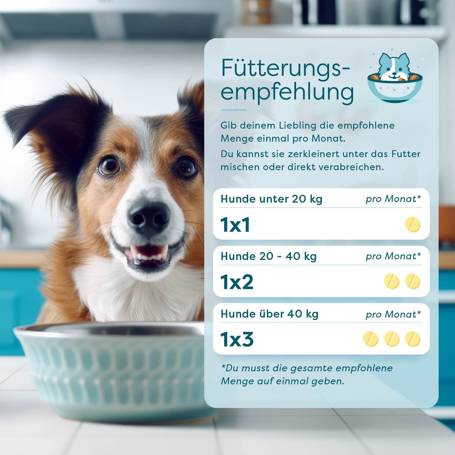 wufit Dog S - 1 Monat