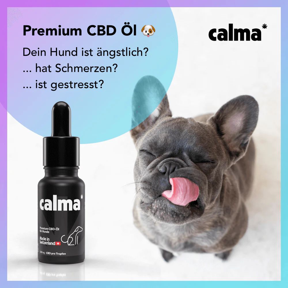 CALMA Premium CBD Öl für Hunde