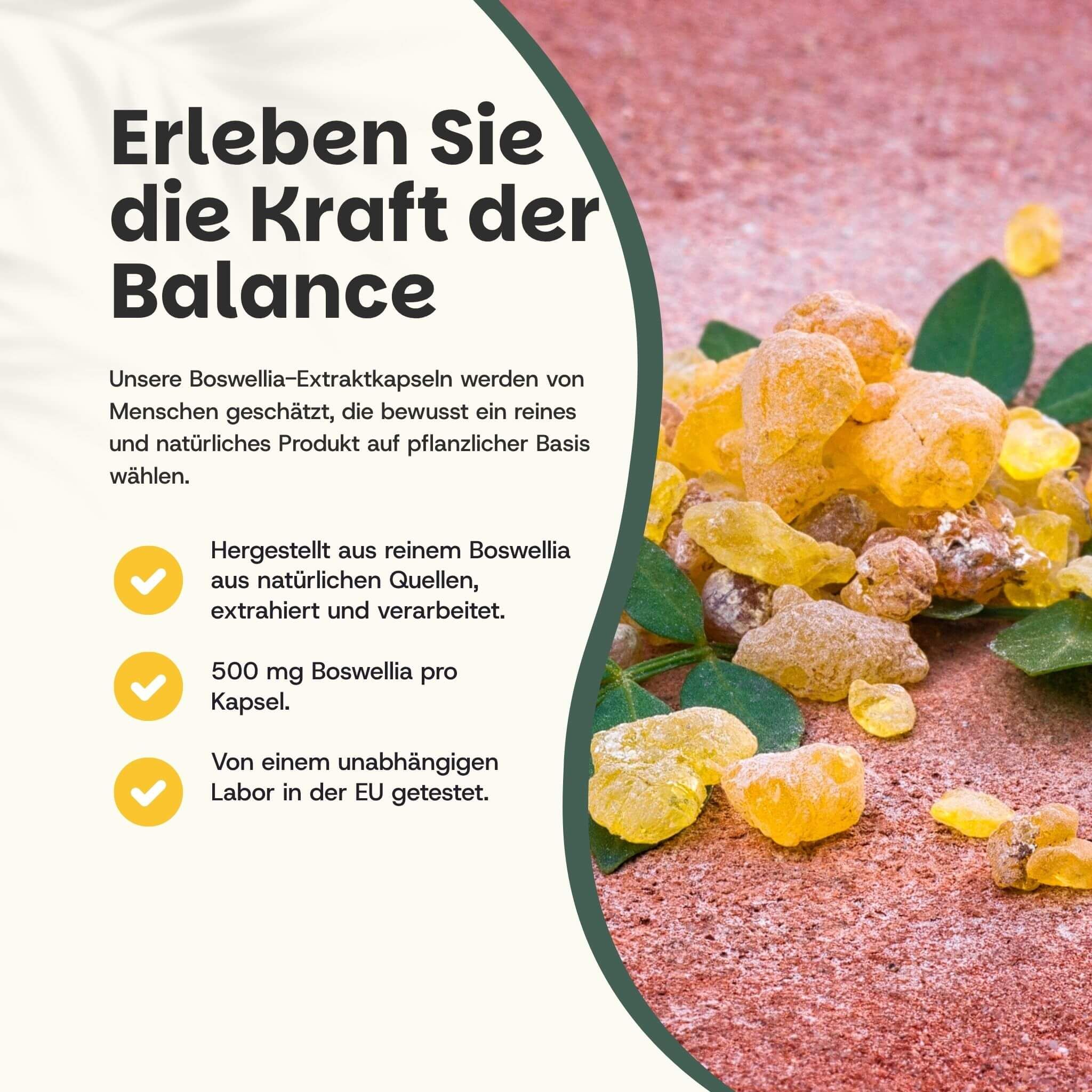 Gelbe Boswellia-Harzstücke und Blätter. Text: Erleben Sie die Kraft des Gleichgewichts. 500 mg Boswellia pro Kapsel.