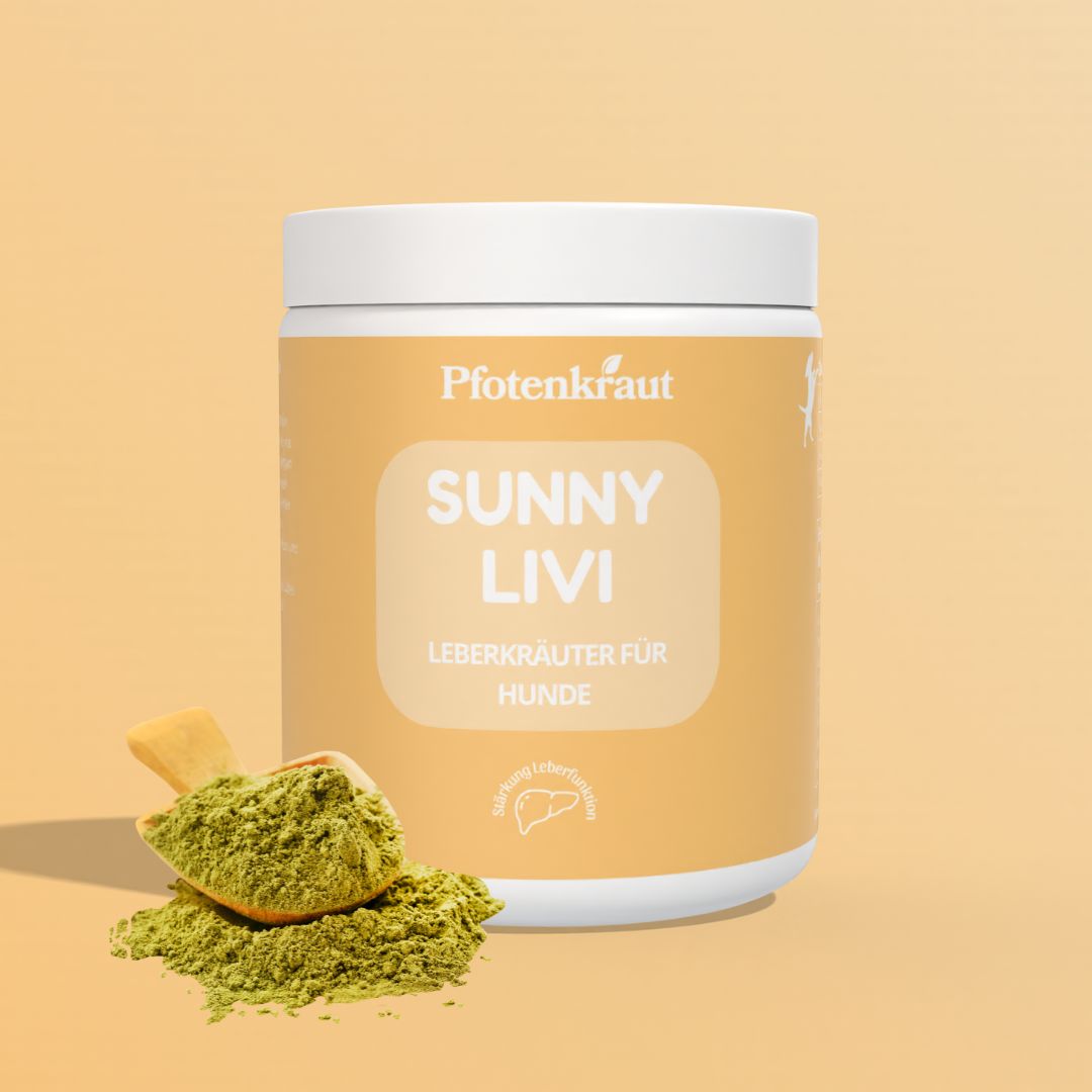 Pfotenkraut Leber Kräuter SUNNY LIVI