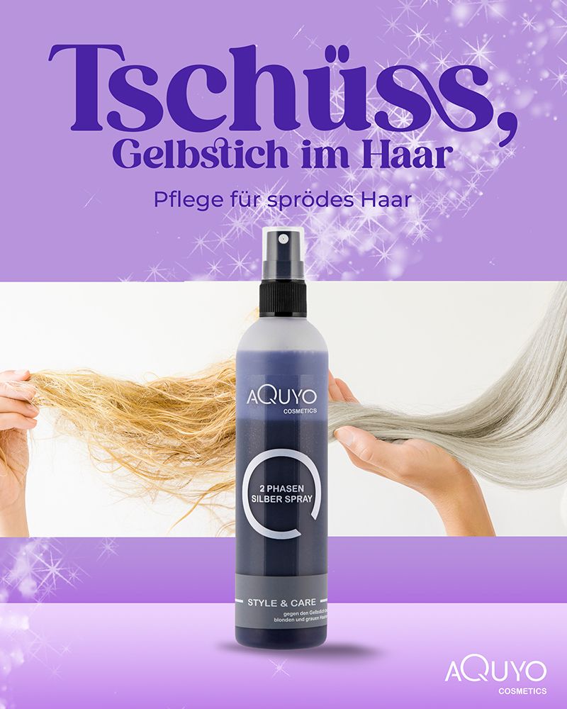 Style & Care 2 Phasen Silber Spray Anti Gelbstich für blondes und graues Haar | Conditioner