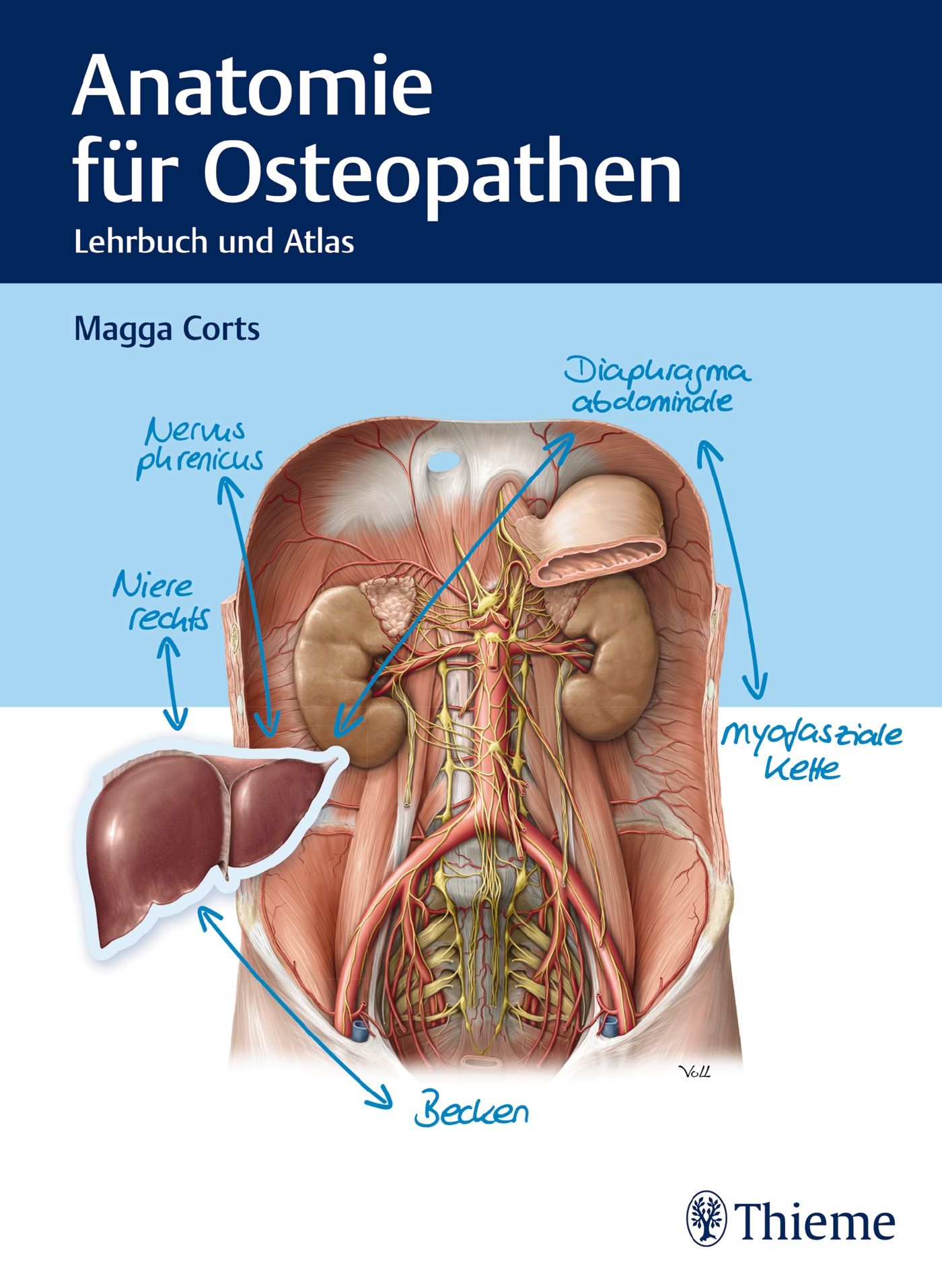 Anatomie für Osteopathen