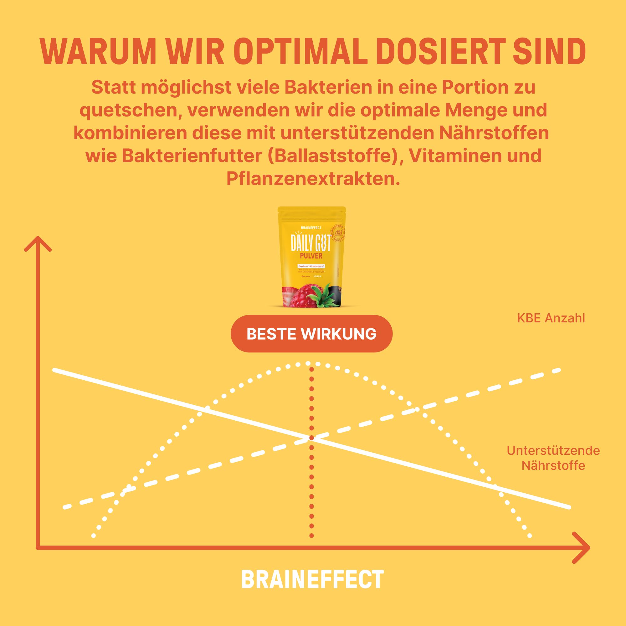 Diagramm. Optimale Dosierung. KBE Anzahl, unterstützende Nährstoffe. BRAINEFFECT Logo. Produktabbildung Daily Gut Pulver.