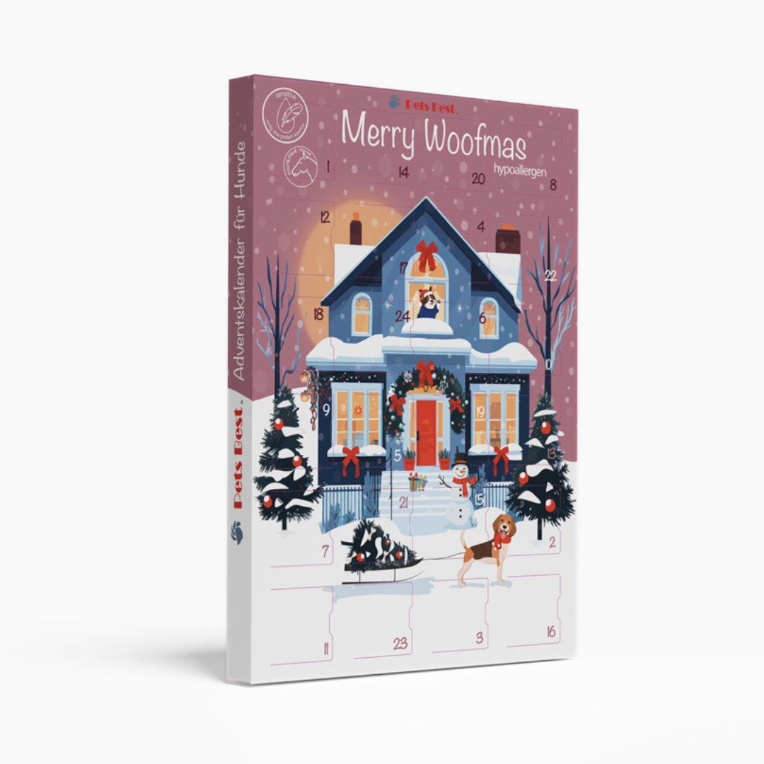 Hypoallergener Adventskalender für Hunde "Snowman's Christmas Morning" - Pets Best