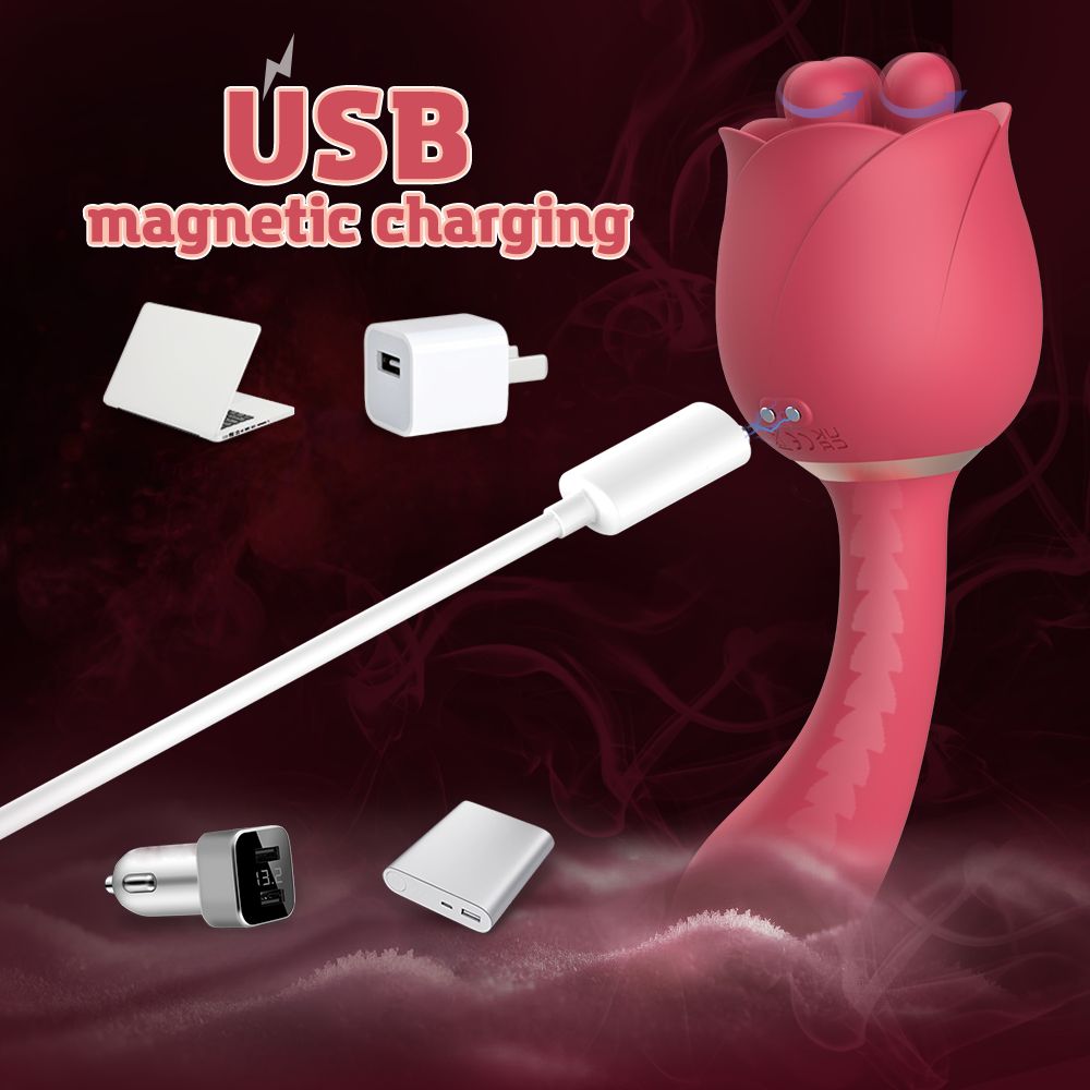 Rosa Vibrator in Rosenform mit drei Kugeln. USB-Ladekabel, Ladegeräte, Powerbank, Laptop. Text: USB magnetic charging.
