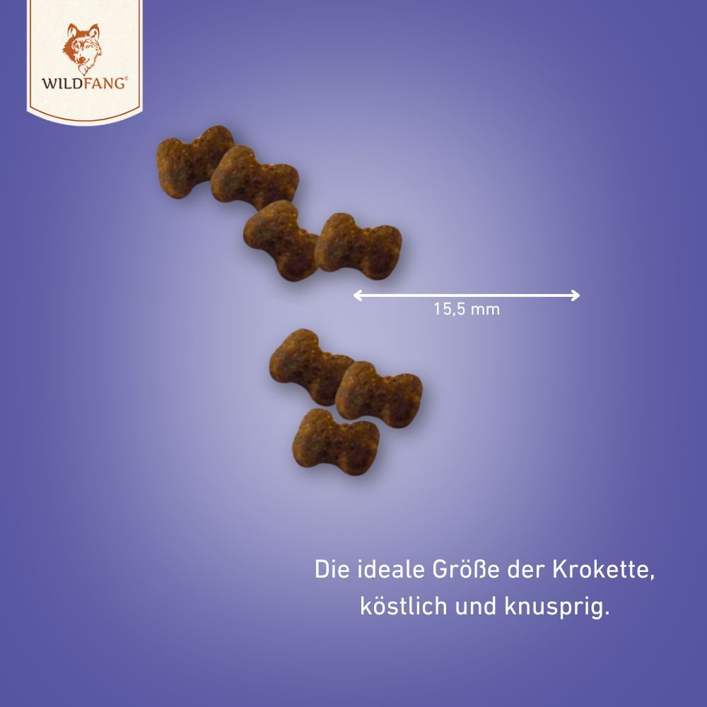 Snacks für das Immunsystem - getreidefrei - 3er Set