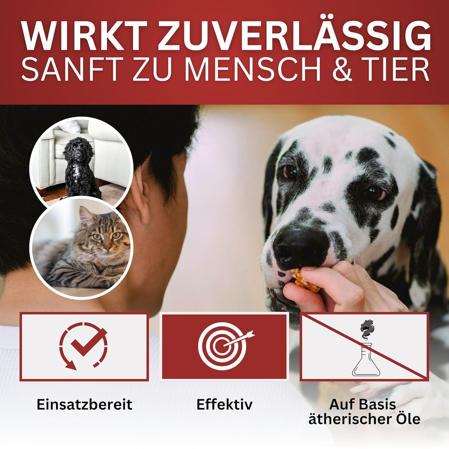 BIOFORMEL Mäuse Ex Spray Plus - Mäuseabwehr