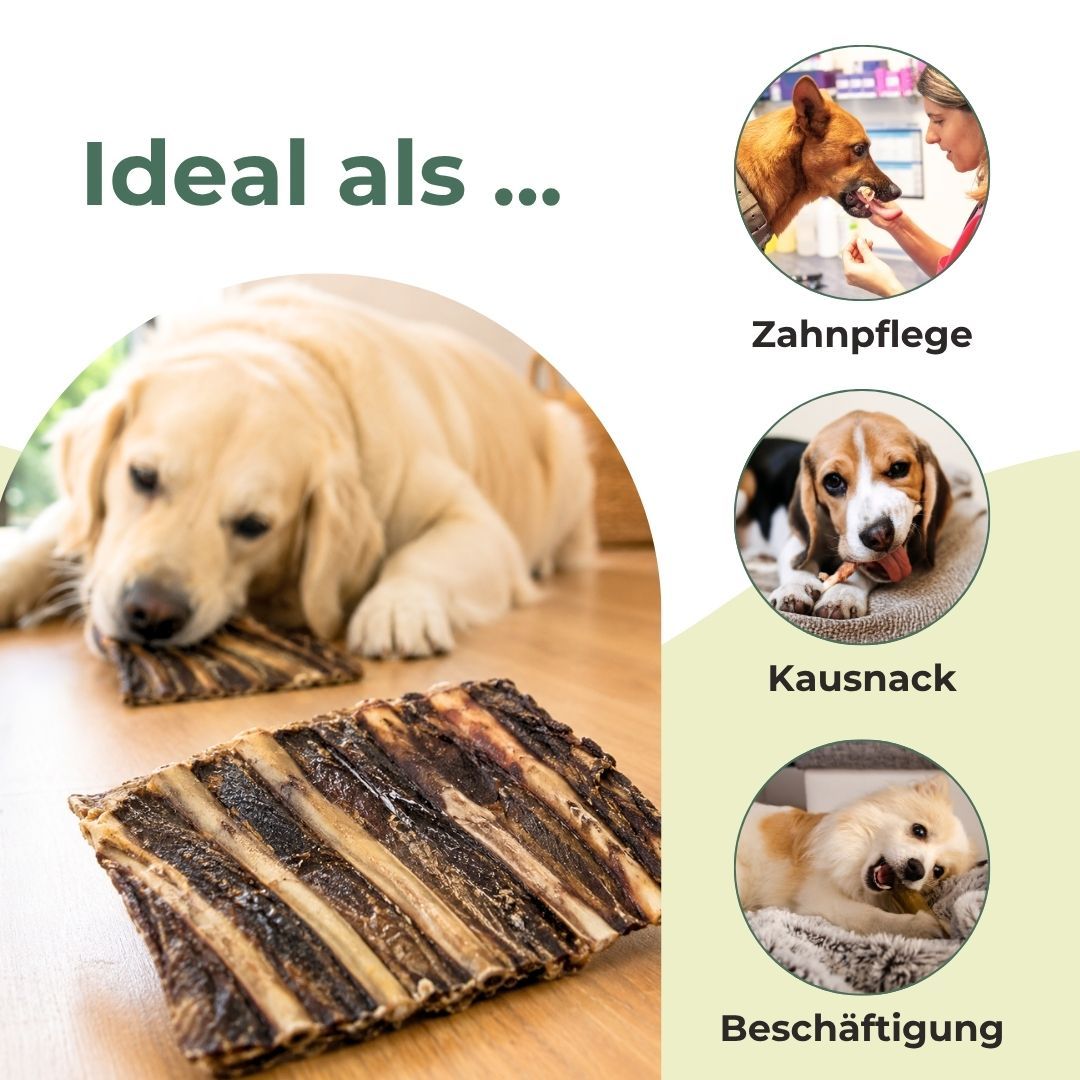 Golden Retriever kaut auf einem Hundeknochen-Kauartikel auf einem Holzboden. Daneben kleine Kreise mit Hunden und Text.