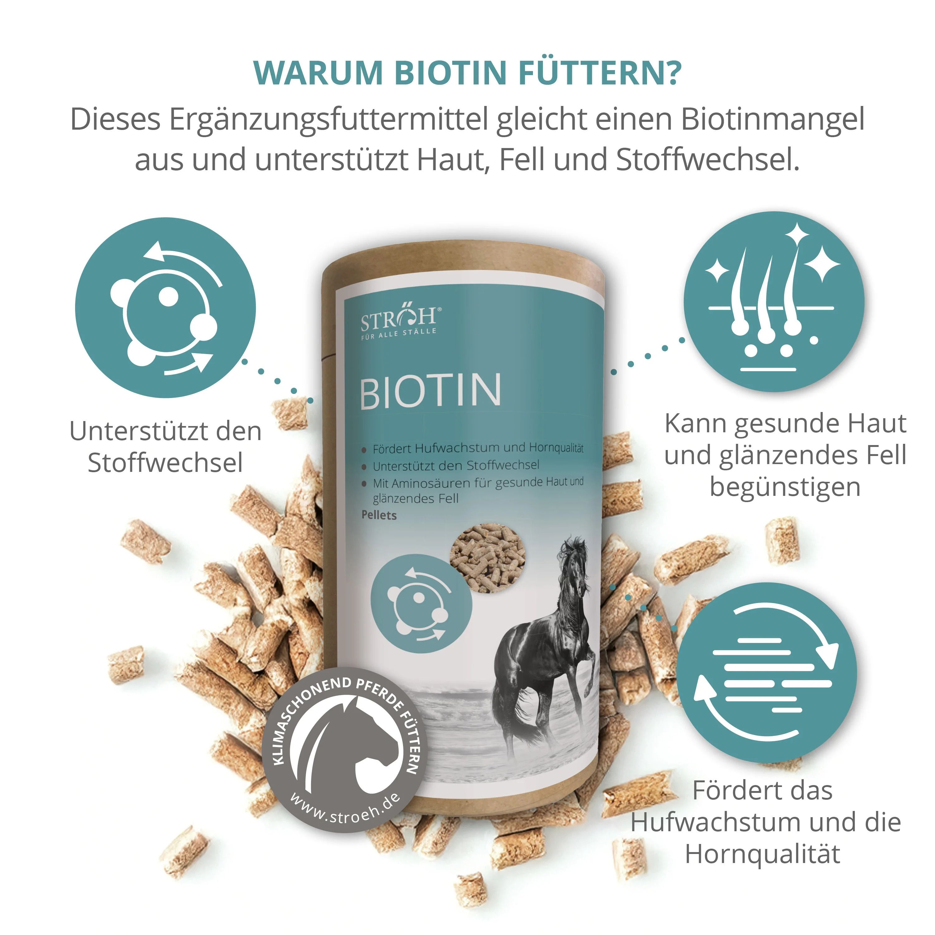 Dose mit Biotin-Pellets, umgeben von Illustrationen. Aufschrift: STRÖH, BIOTIN, Pellets. Abbildung eines Pferdes. Text über Vorteile.