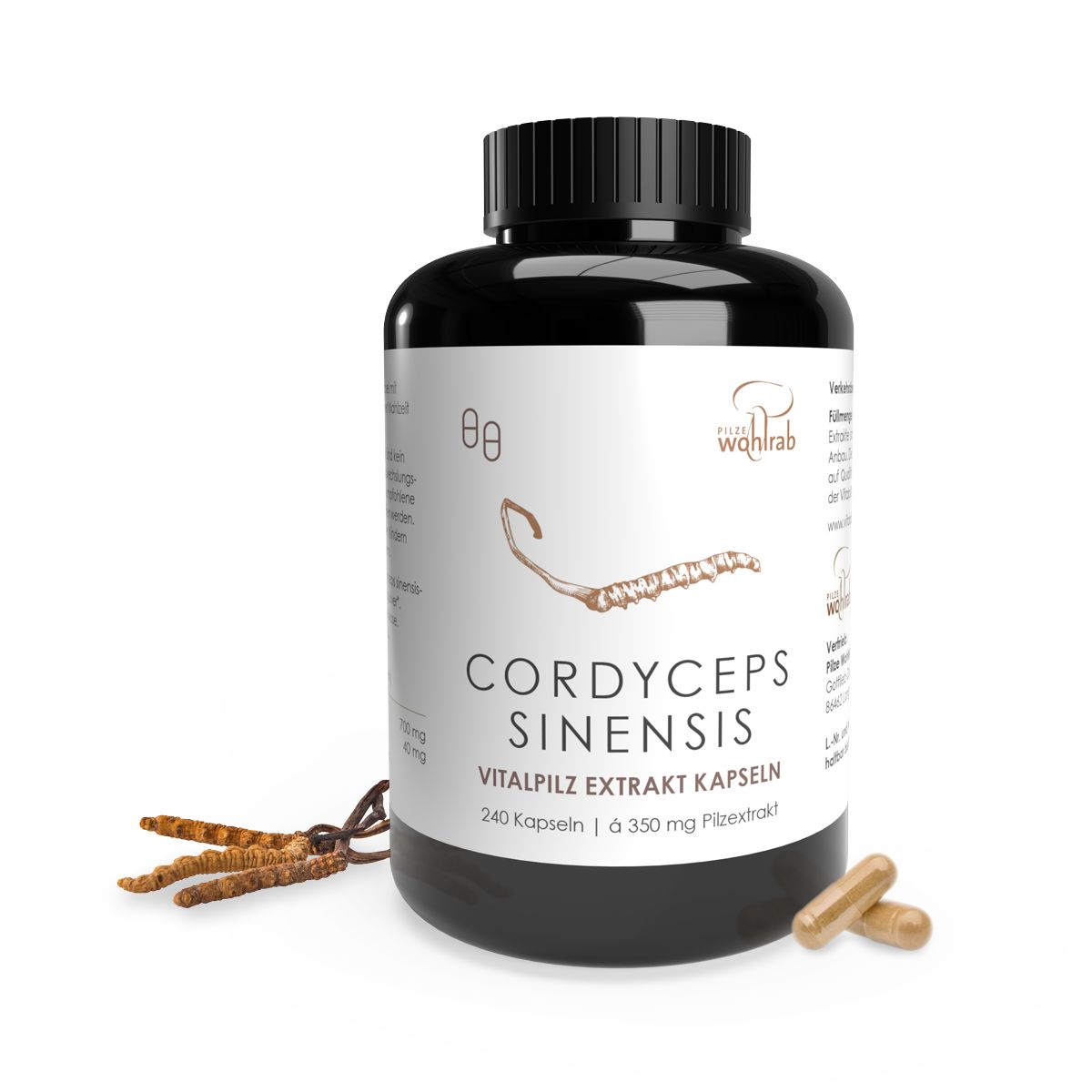 Cordyceps Sinensis Extrakt Konventionell Kapseln 240 St
