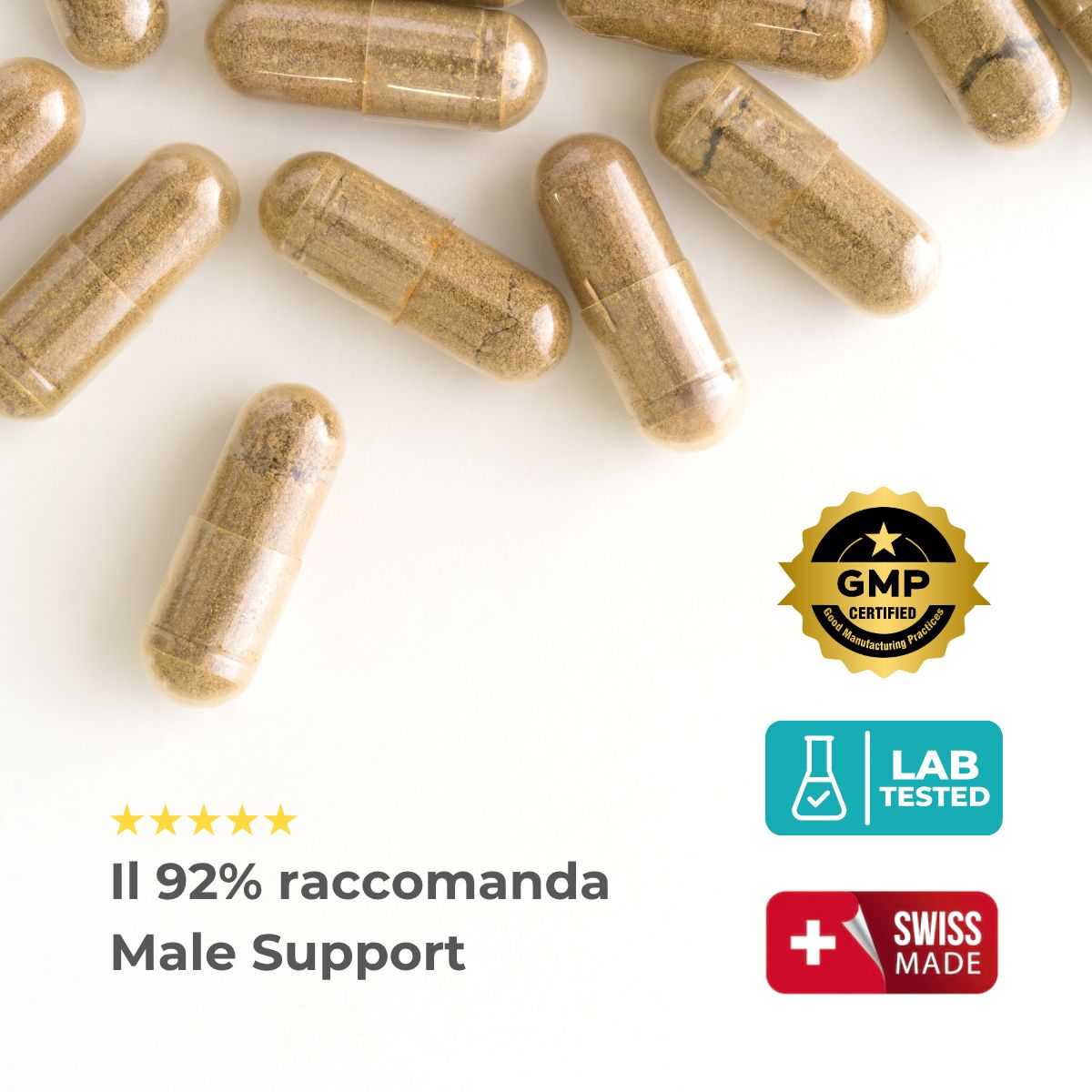 Capsule su sfondo bianco. Testo: Il 92% raccomanda Male Support. Certificato GMP, testato in laboratorio, Swiss Made.