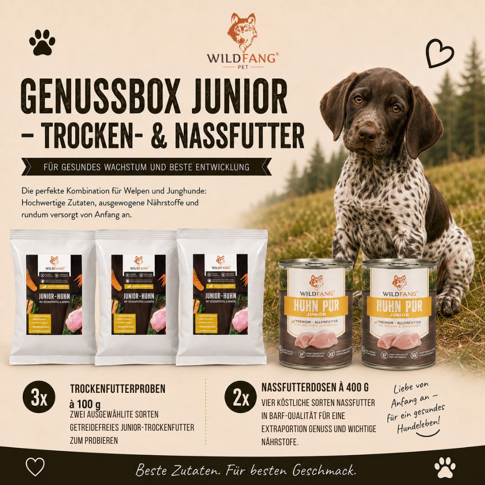 Welpe mit Wildfang Genussbox Junior Trocken- & Nassfutter.