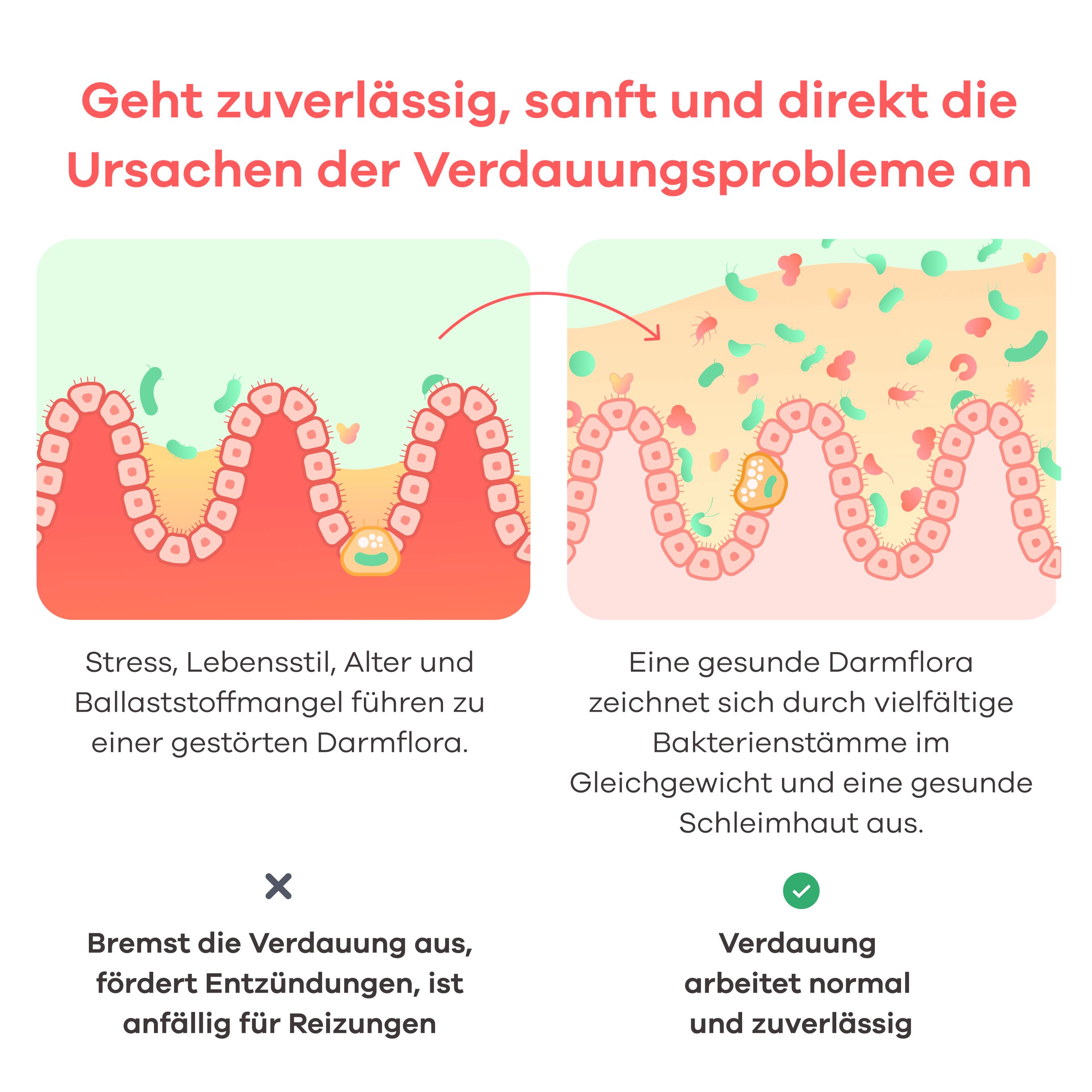 Apriwell Darmkulturen-Komplex