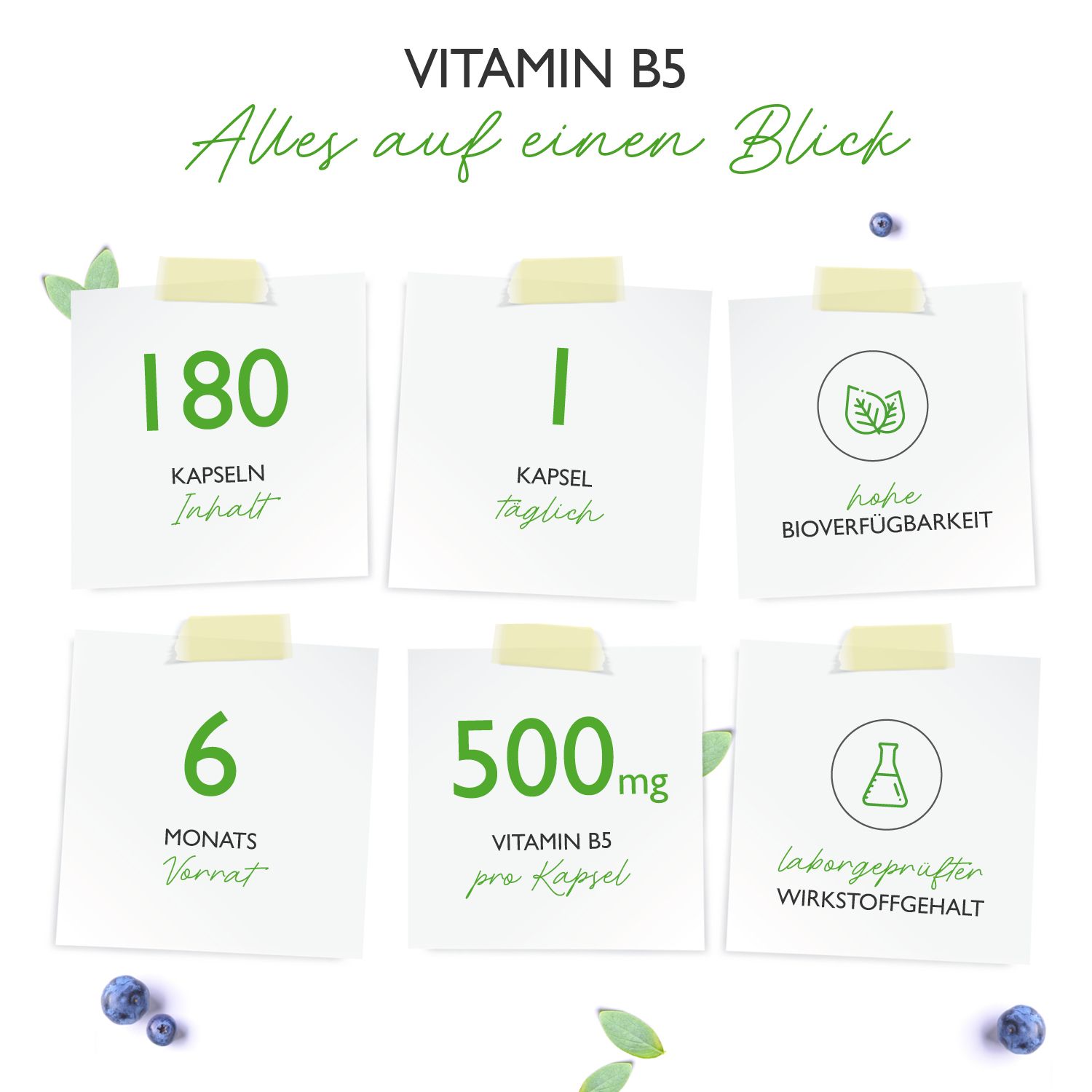 vit4ever Vitamin B5 - Pantothensäure - Hochdosiert