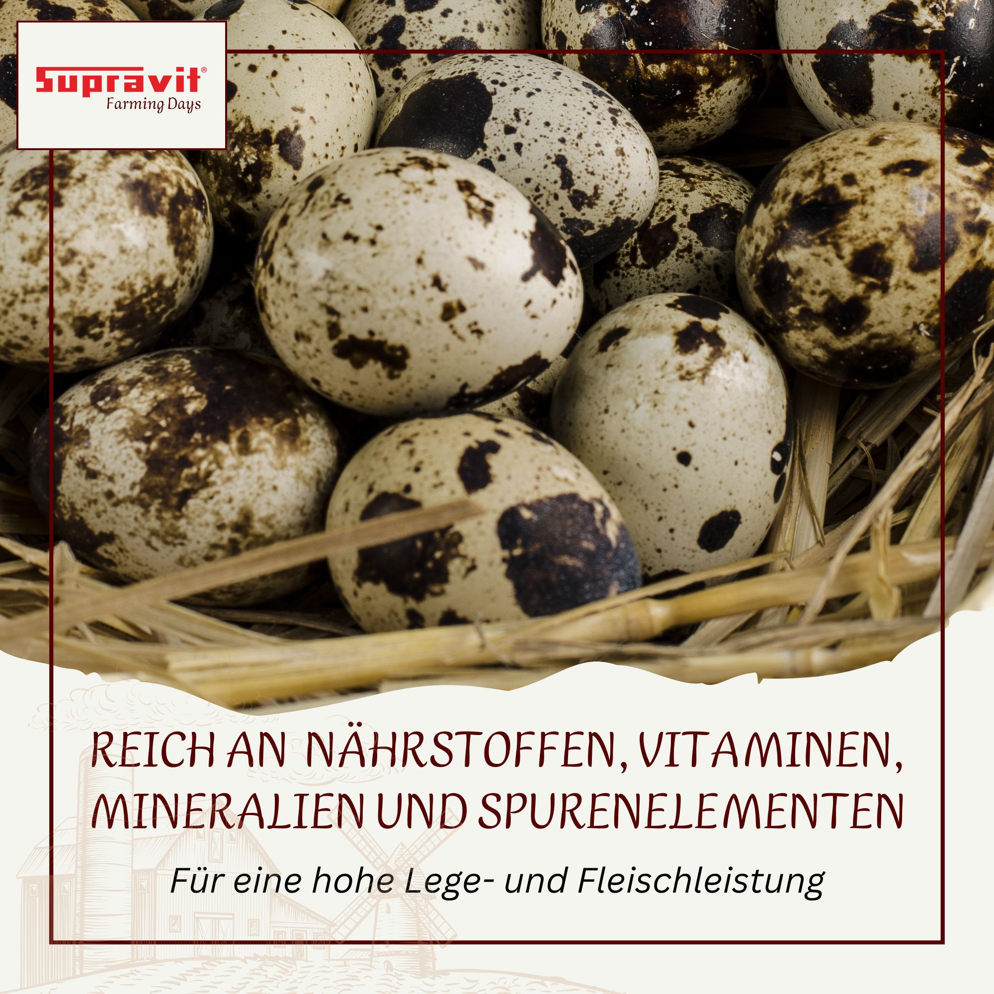 Supravit Geflügelkörnerfutter ohne Gentechnik - Körnermischung für Geflügel, Hühner, Wachteln