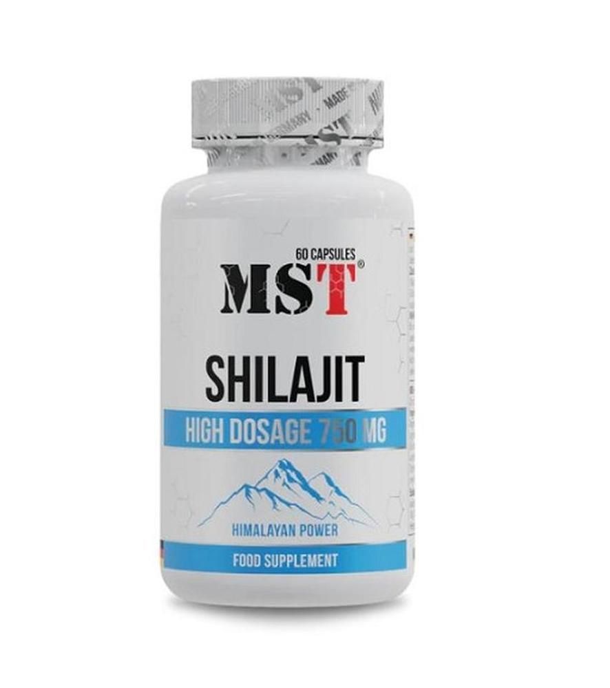 MST Shilajit Kapseln 60 St