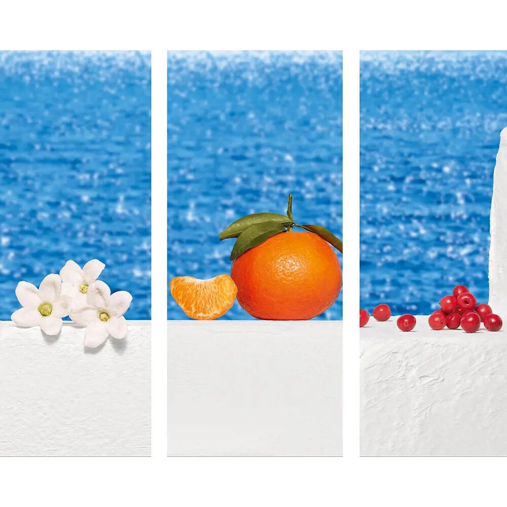 Drei weiße Flächen mit Blüten, Orange und Beeren vor blauem Wasser. Einzelne Segmente mit verschiedenen Elementen.