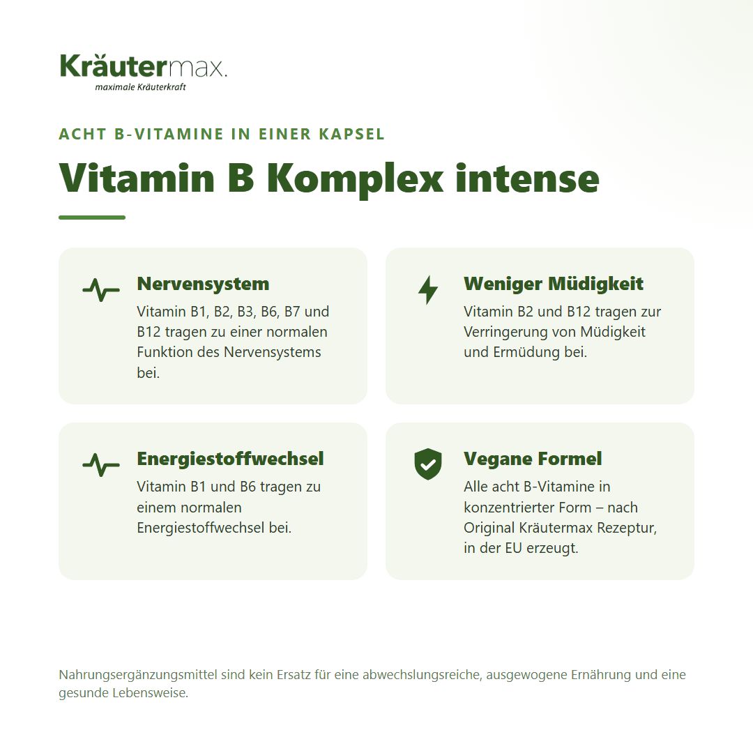 Vier Infoboxen zu Kräutermax Vitamin B Komplex: Nervensystem, weniger Müdigkeit, Energiestoffwechsel, vegane Formel.