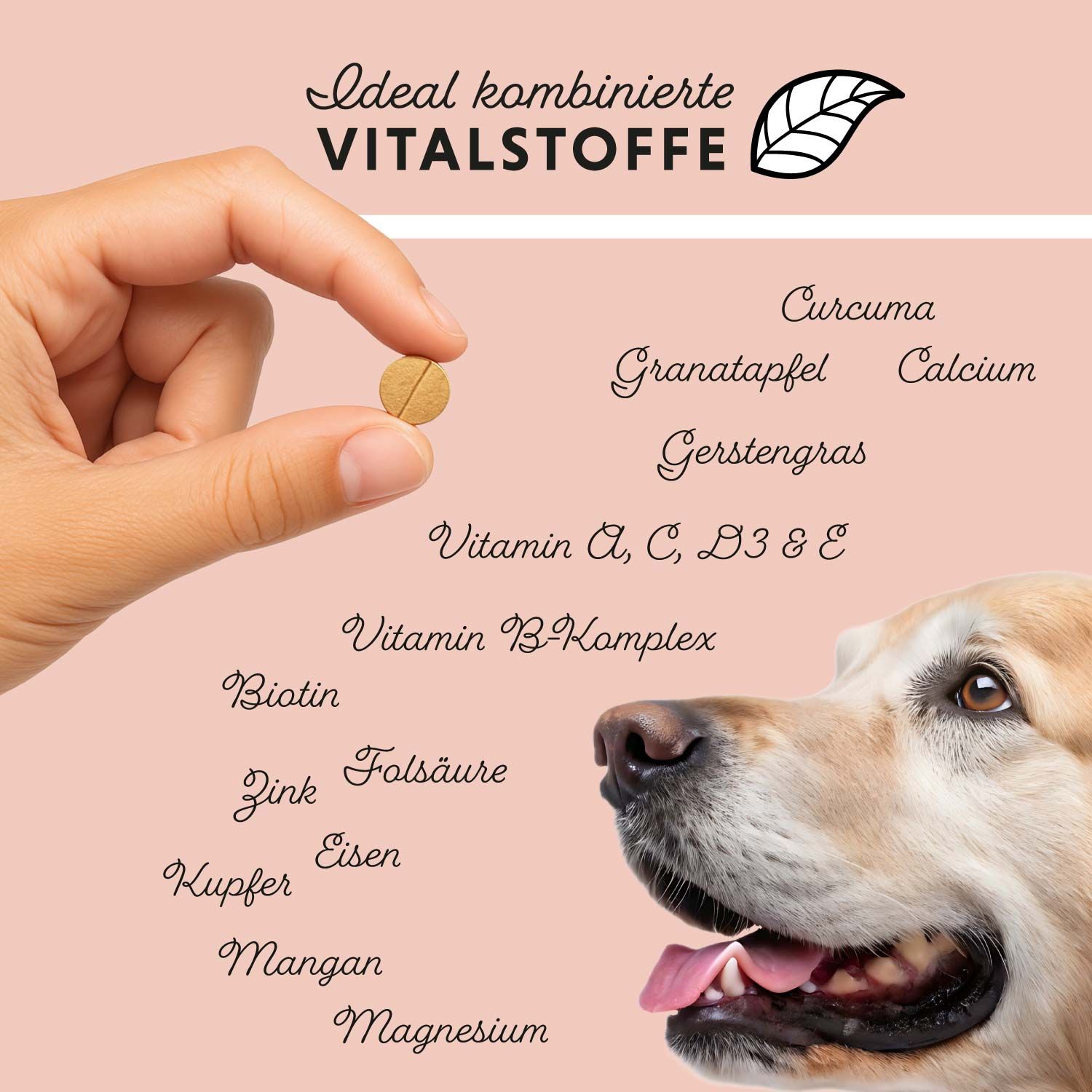 Annimally Dog's Daily