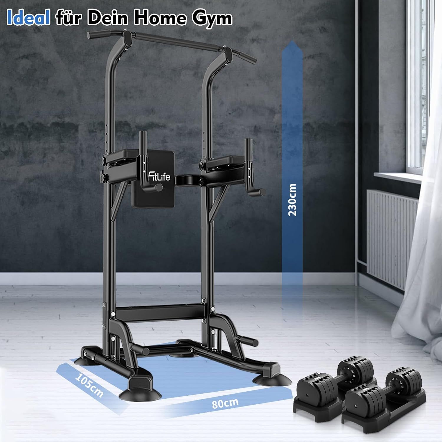 DH FitLife multifunktional Dip Station