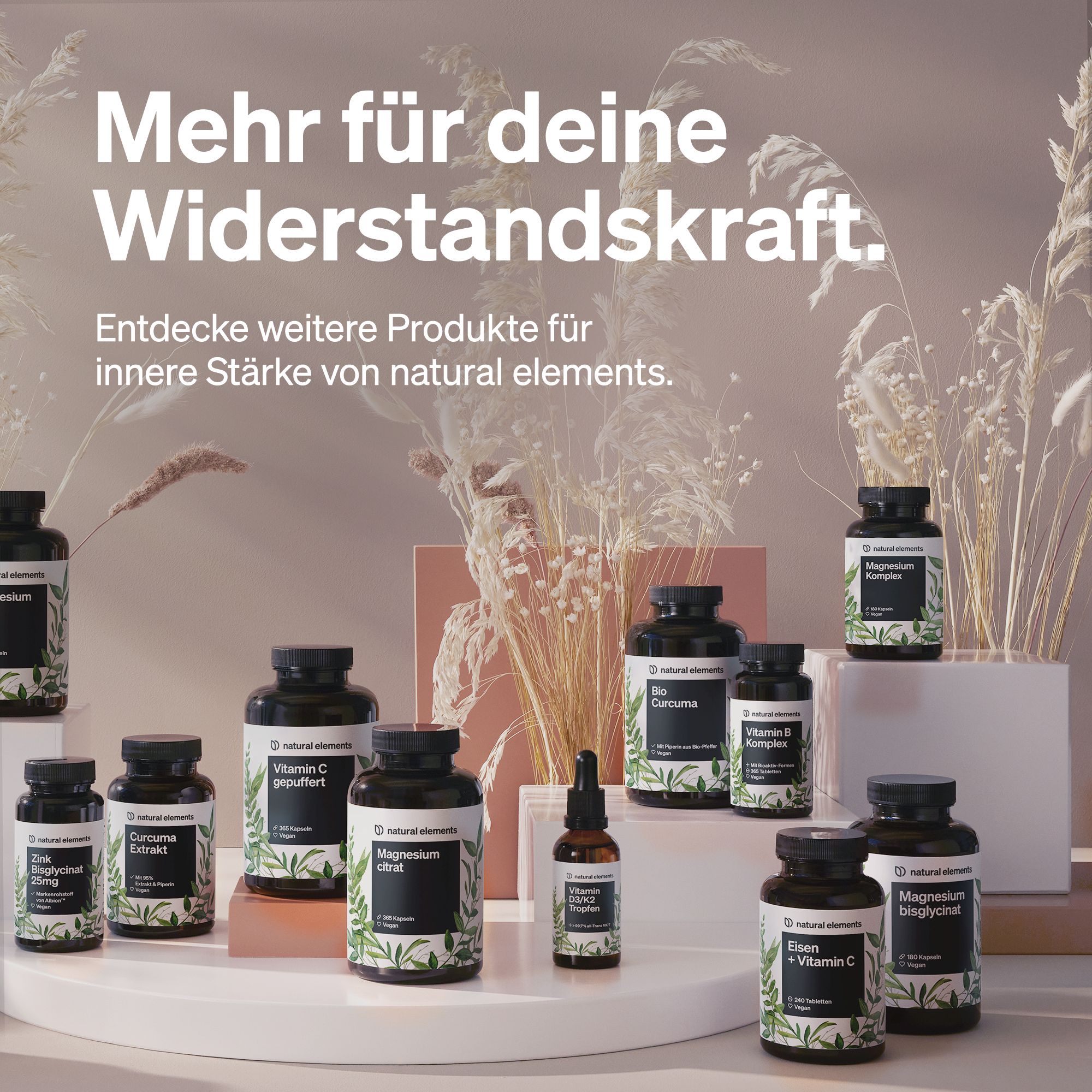 Mehrere Flaschen mit verschiedenen Nahrungsergänzungsmitteln. Einige Flaschen sind mit Etiketten versehen, andere nicht.