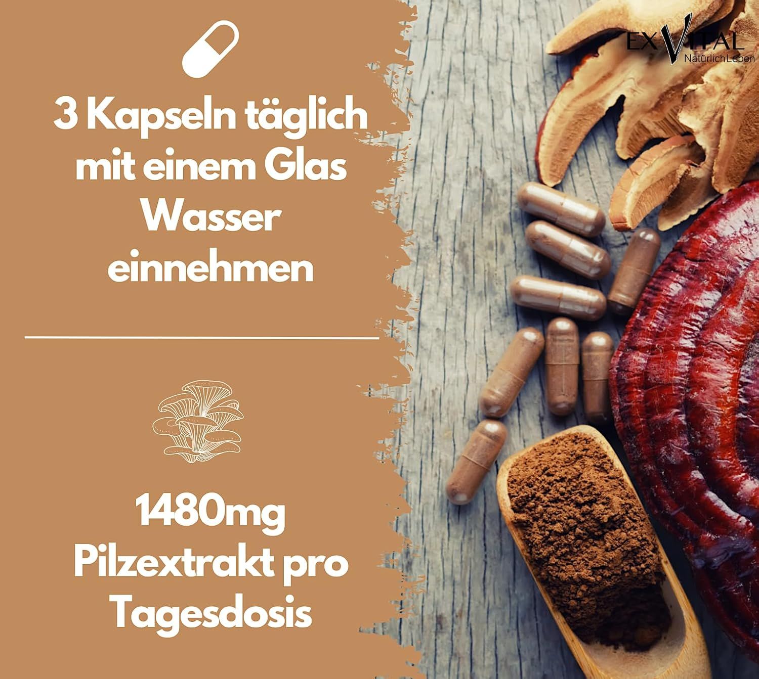 EXVital® Vitalpilze Komplex