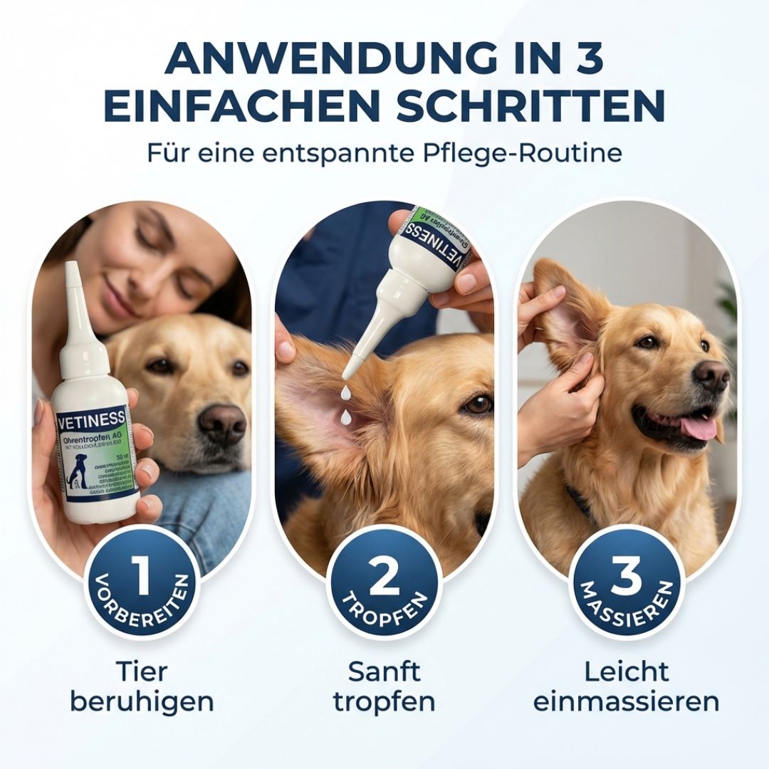 Drei Bilder zeigen die Anwendung von Vetiness Ohrentropfen AG an einem Hund. Schritte: Beruhigen, Tropfen, Massieren. Text: Anwendung in 3 einfachen Schritten.