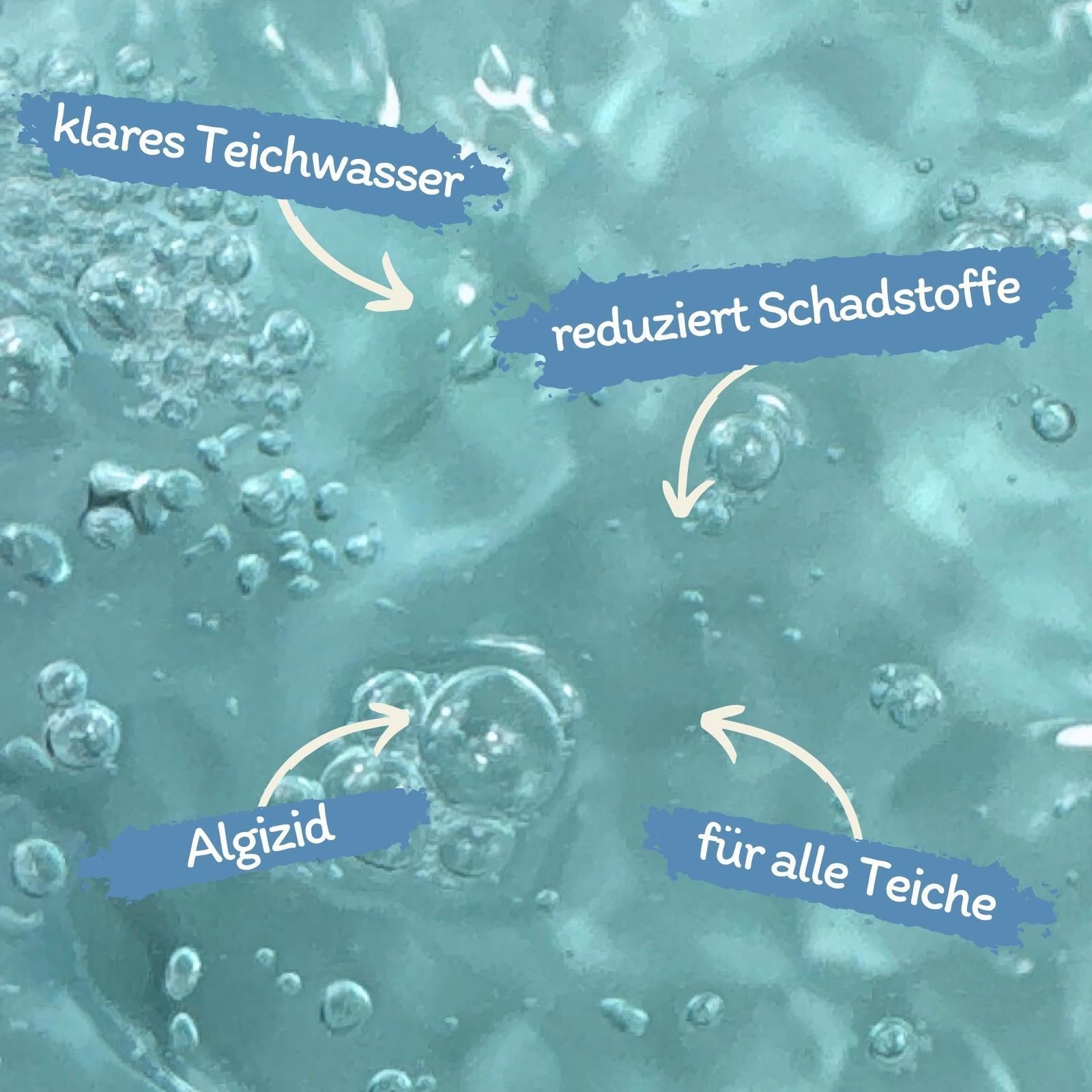 Blasen in klarem Wasser mit deutschen Text-Overlays: klares Teichwasser, reduziert Schadstoffe, Algizid, für alle Teiche.