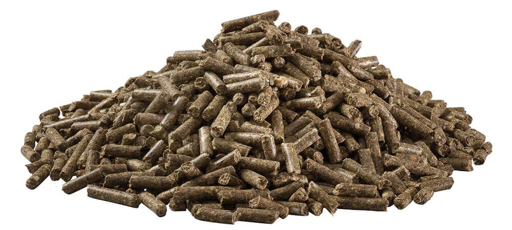PANTO® Chinchillafutter