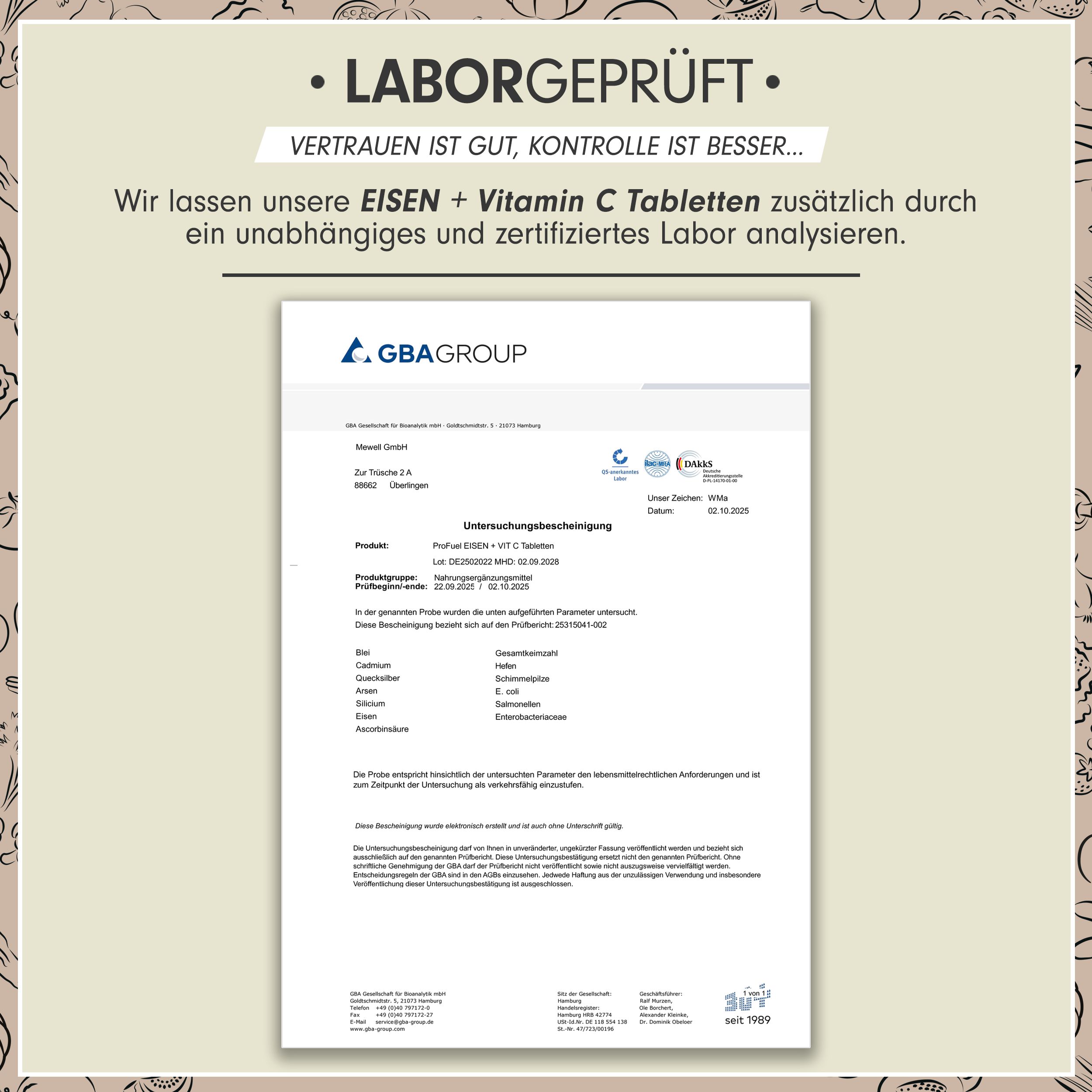 ProFuel - Eisentabletten mit 20 mg Eisen + Vitamin C (20mg) aus Hagebutten