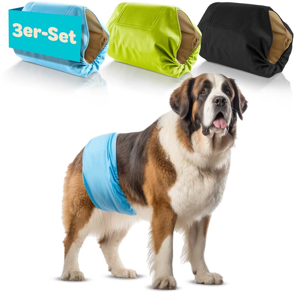 HUND IST KÖNIG® Hundewindeln für Rüden