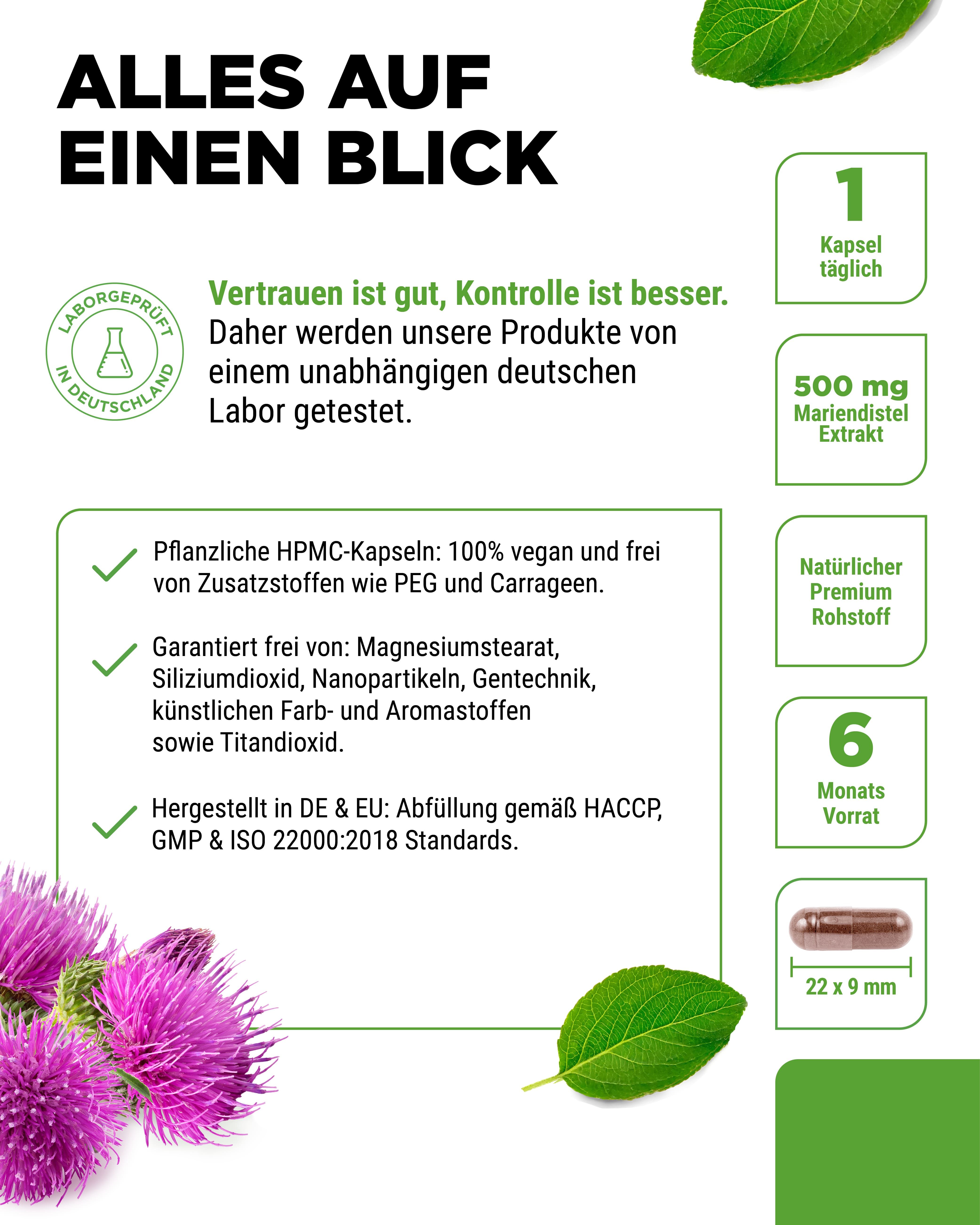 vit4ever Mariendistel Extrakt 500