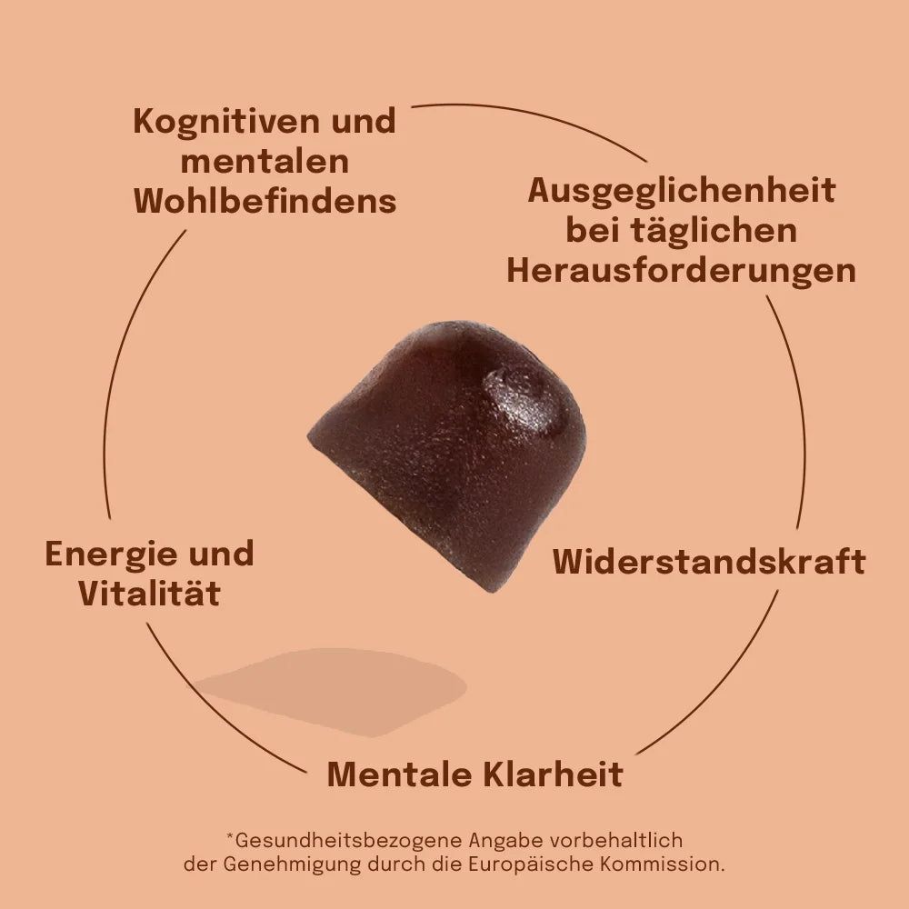 Sundt Löwenmähne-Gummies