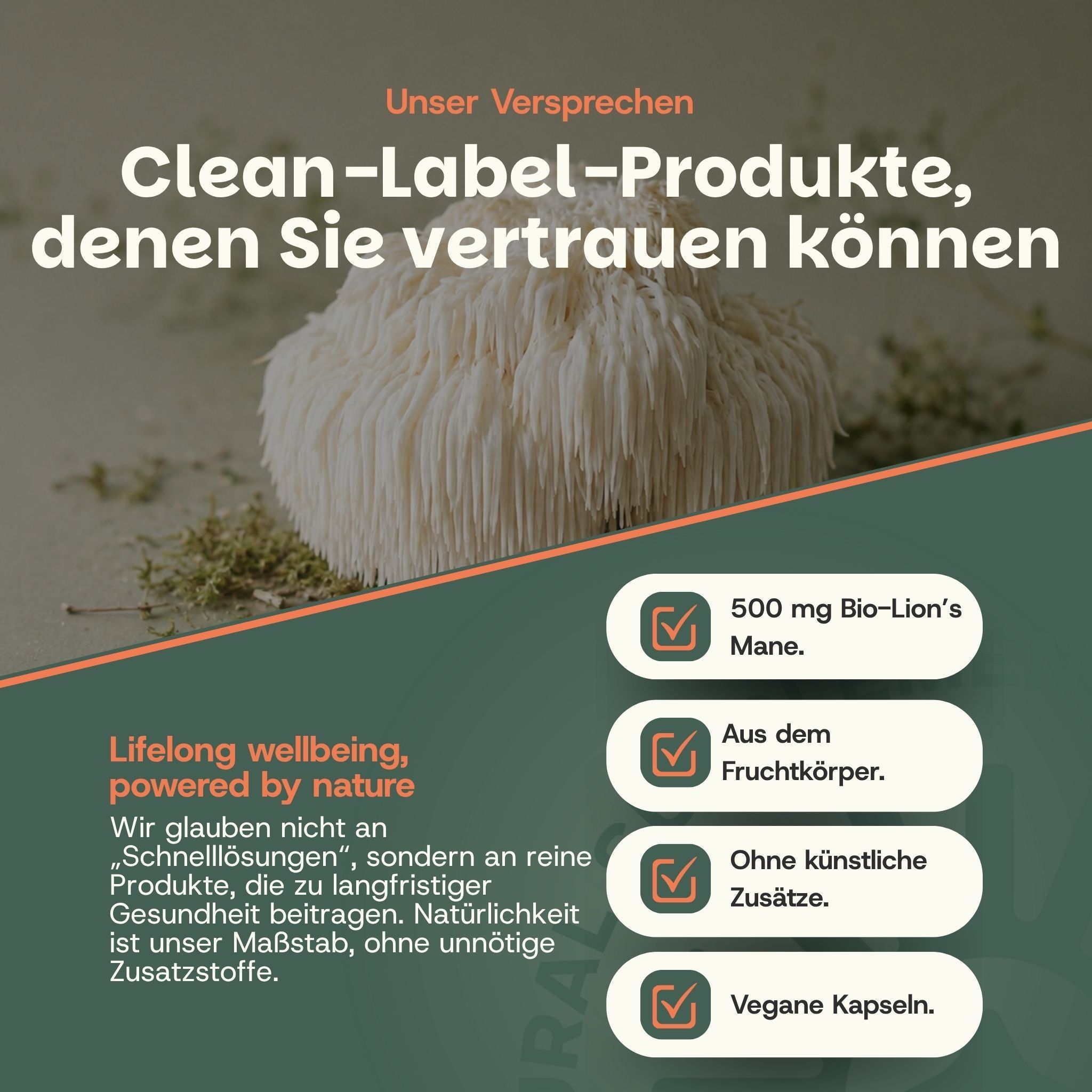 Verpackung für Bart- und Schnurrbartfarbe, Schwarzbraun M-45.