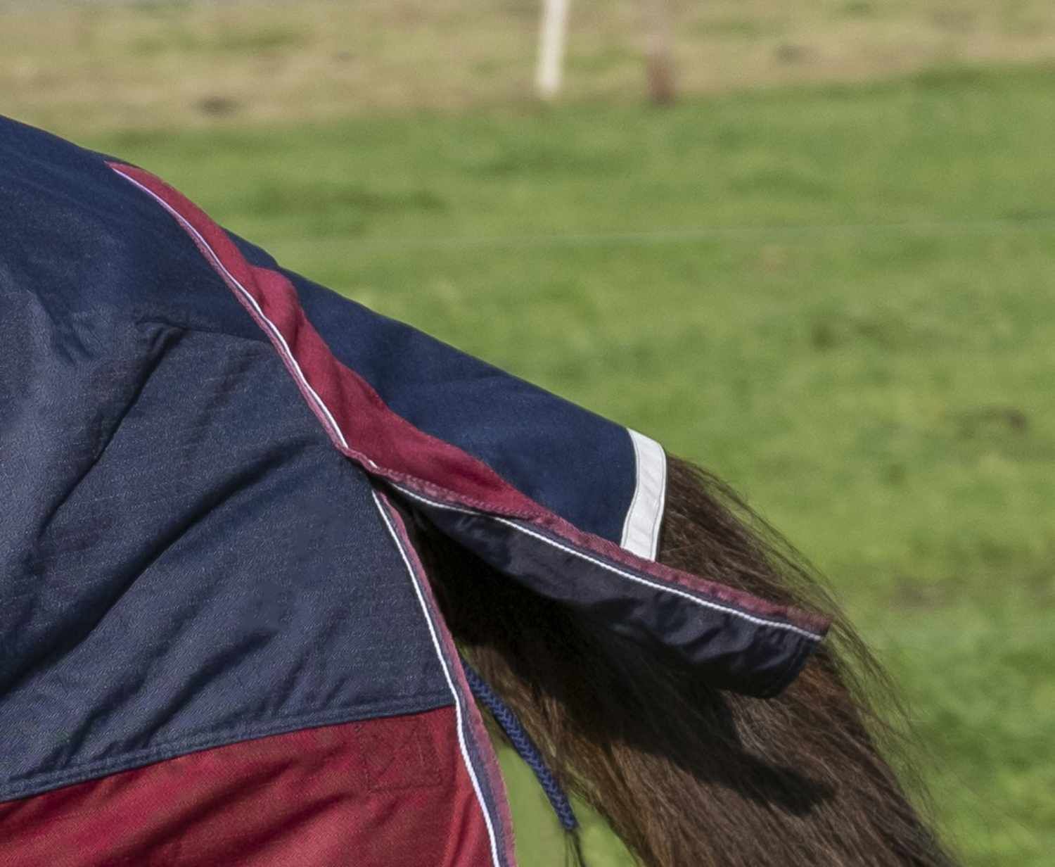 Equi-Theme TYREX High Neck