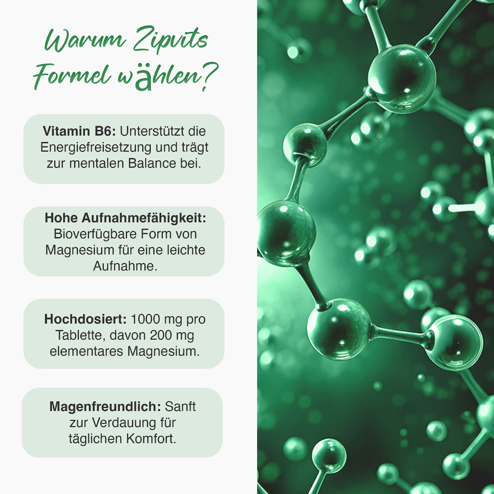 Text mit Informationen zu Vitamin B6 und Magnesium. Grafische Darstellung von Molekülen.