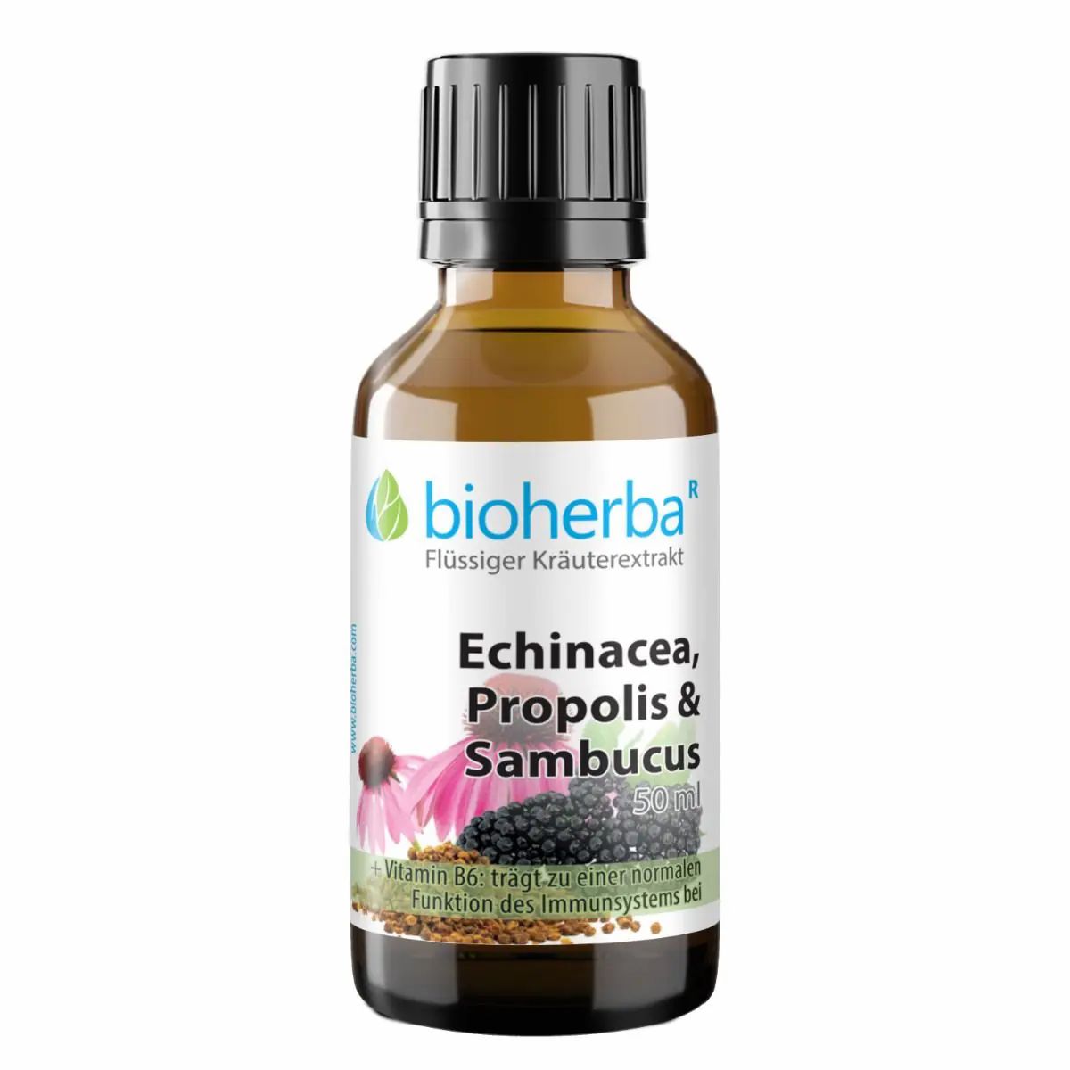 Braune Glasflasche mit schwarzem Deckel. Etikett mit Produktnamen, Logo und Illustrationen von Blüten und Beeren.