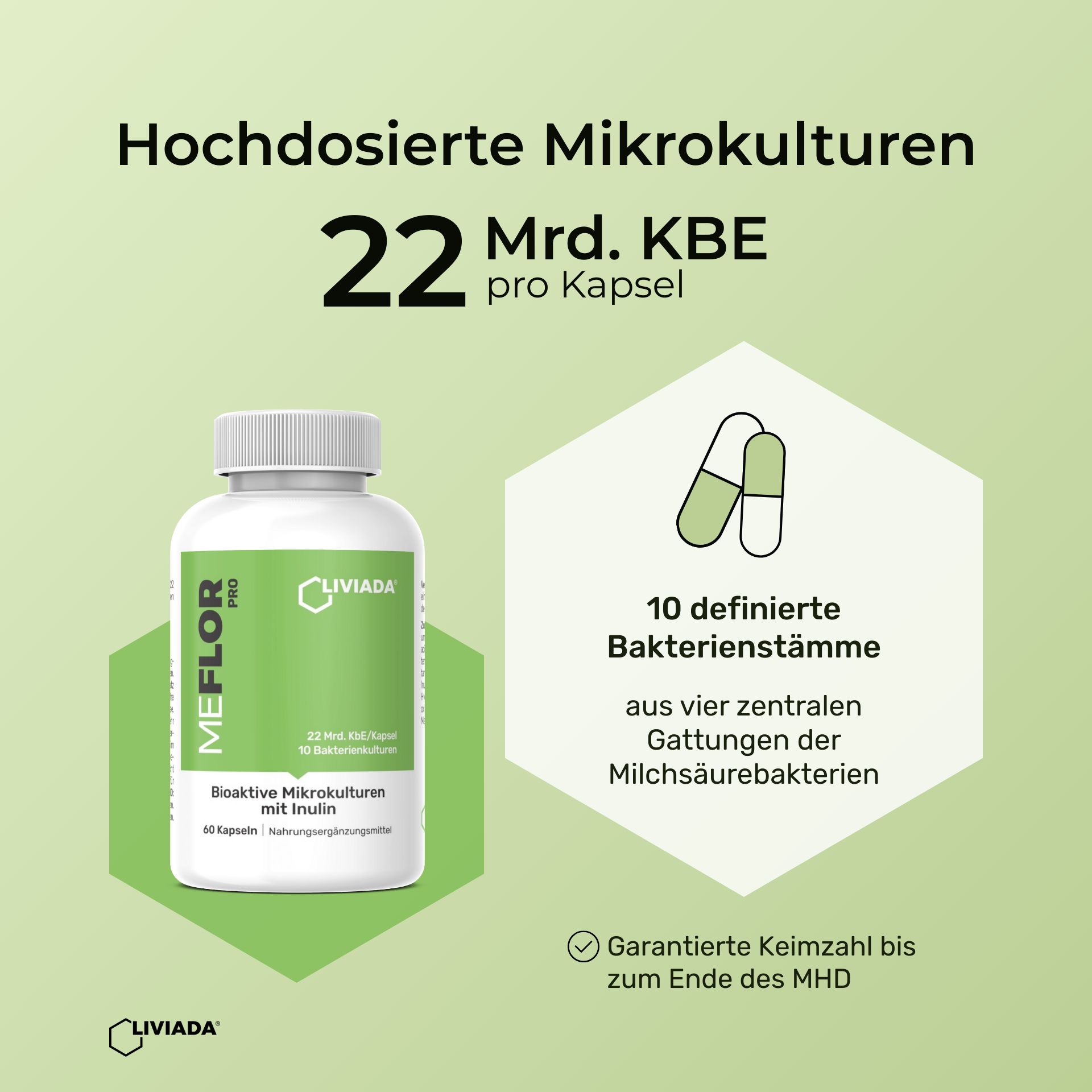 LIVIADA® MEFLOR PRO – Hochdosierte Darmkulturen mit Inulin (22 Mrd. KBE)