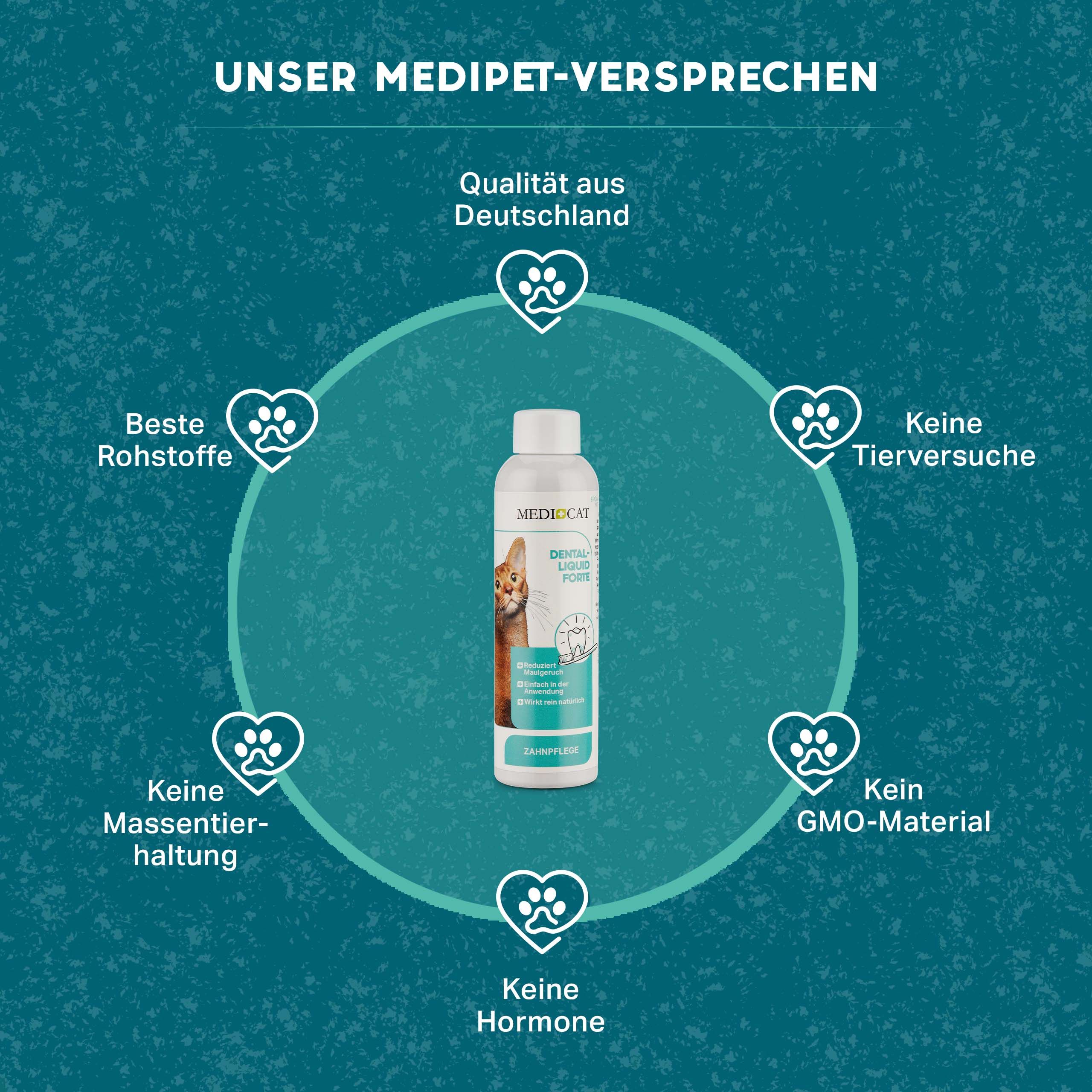 MEDICAT Dental Liquid Forte
