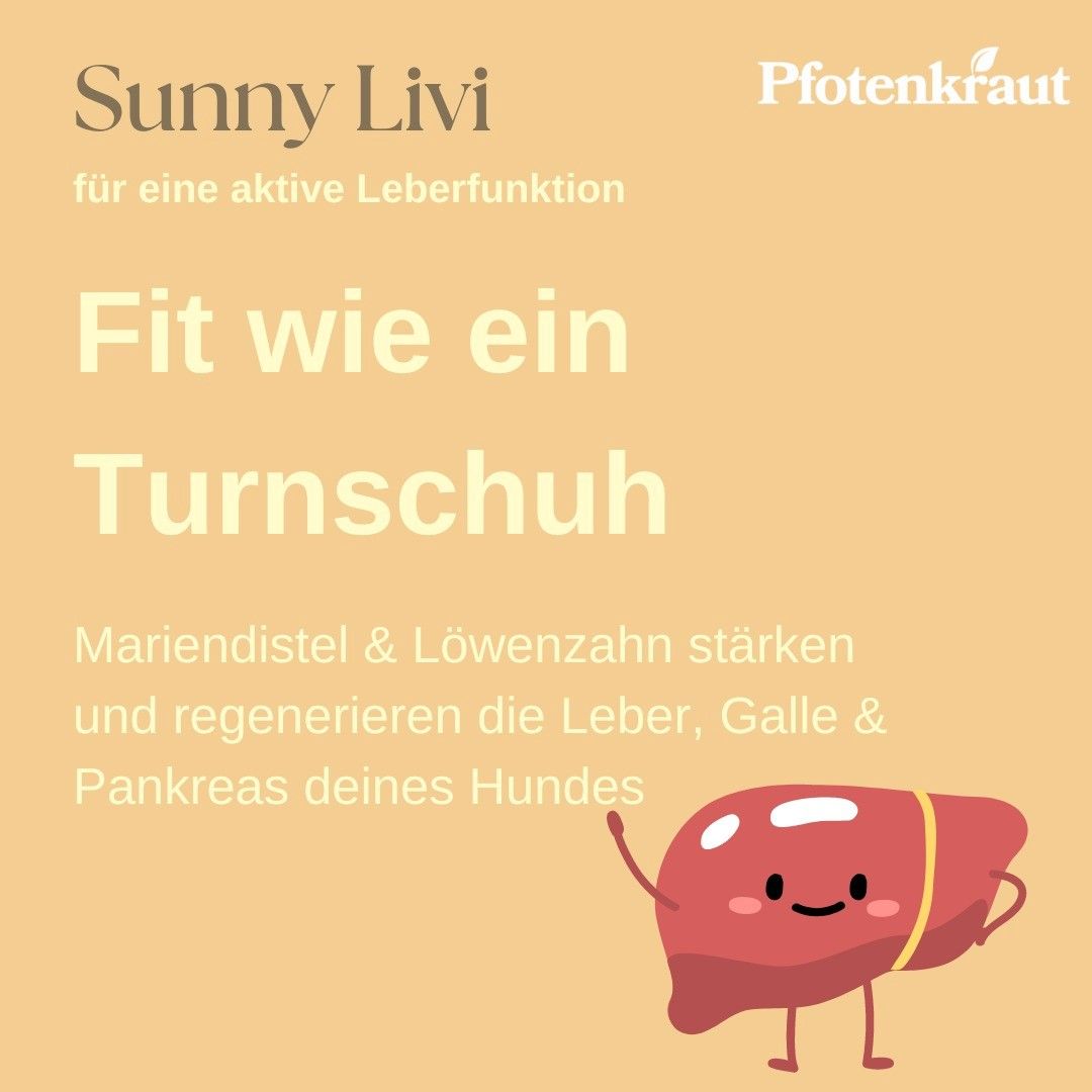 Pfotenkraut Leber Kräuter SUNNY LIVI
