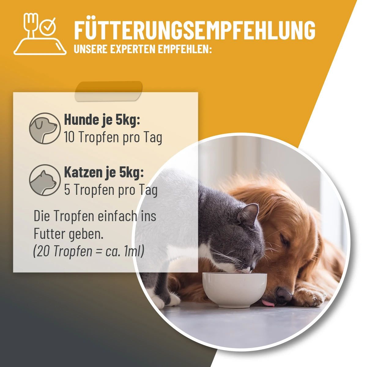 Immun Aufbau Tropfen - ReaVET