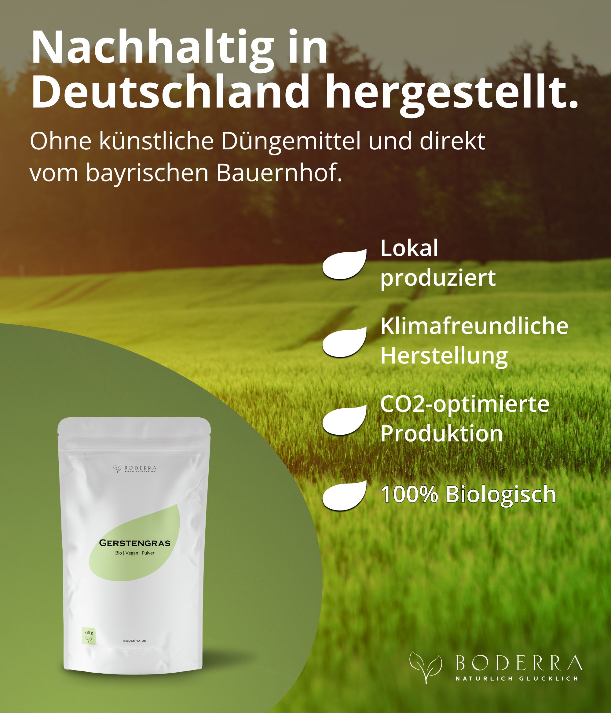 Boderra BIO Gerstengras Pulver aus Deutschland - 60 Tage Vorrat