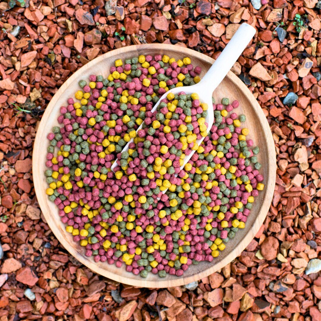 Lyra Pond® Pond Allround Mix im Eimer