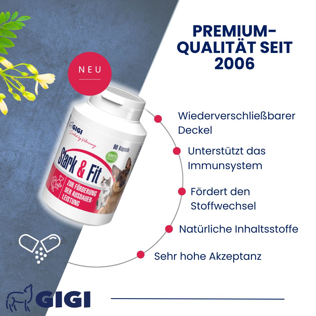Produkt mit "Stark & Fit"-Aufschrift, wiederverschließbarer Deckel, 90 Kapseln. Text: "Premium-Qualität seit 2006".